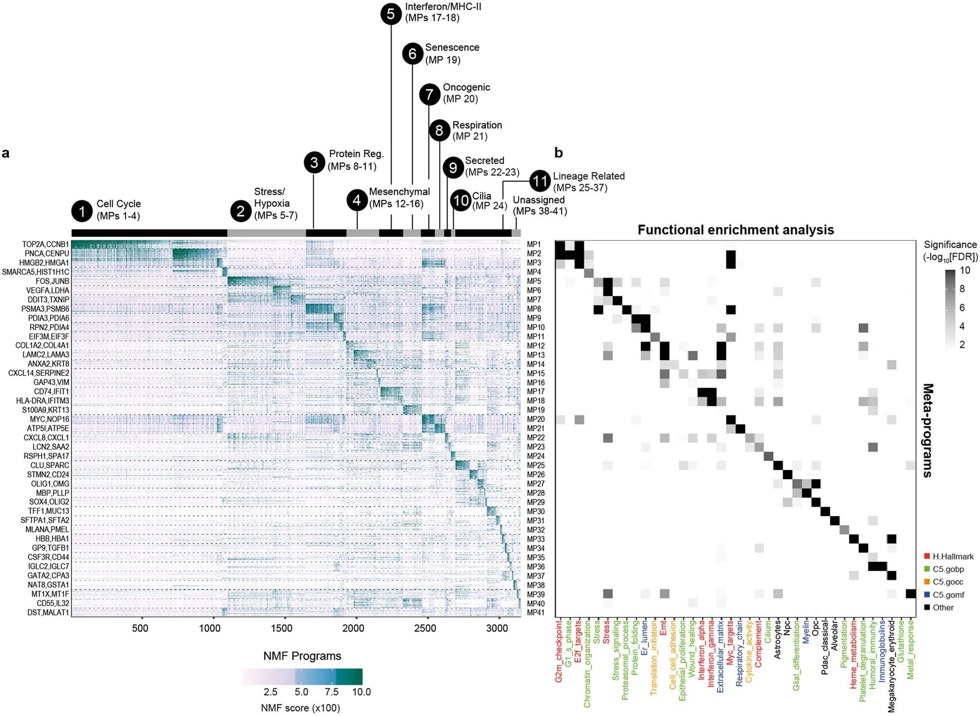 Extended Data Fig. 1