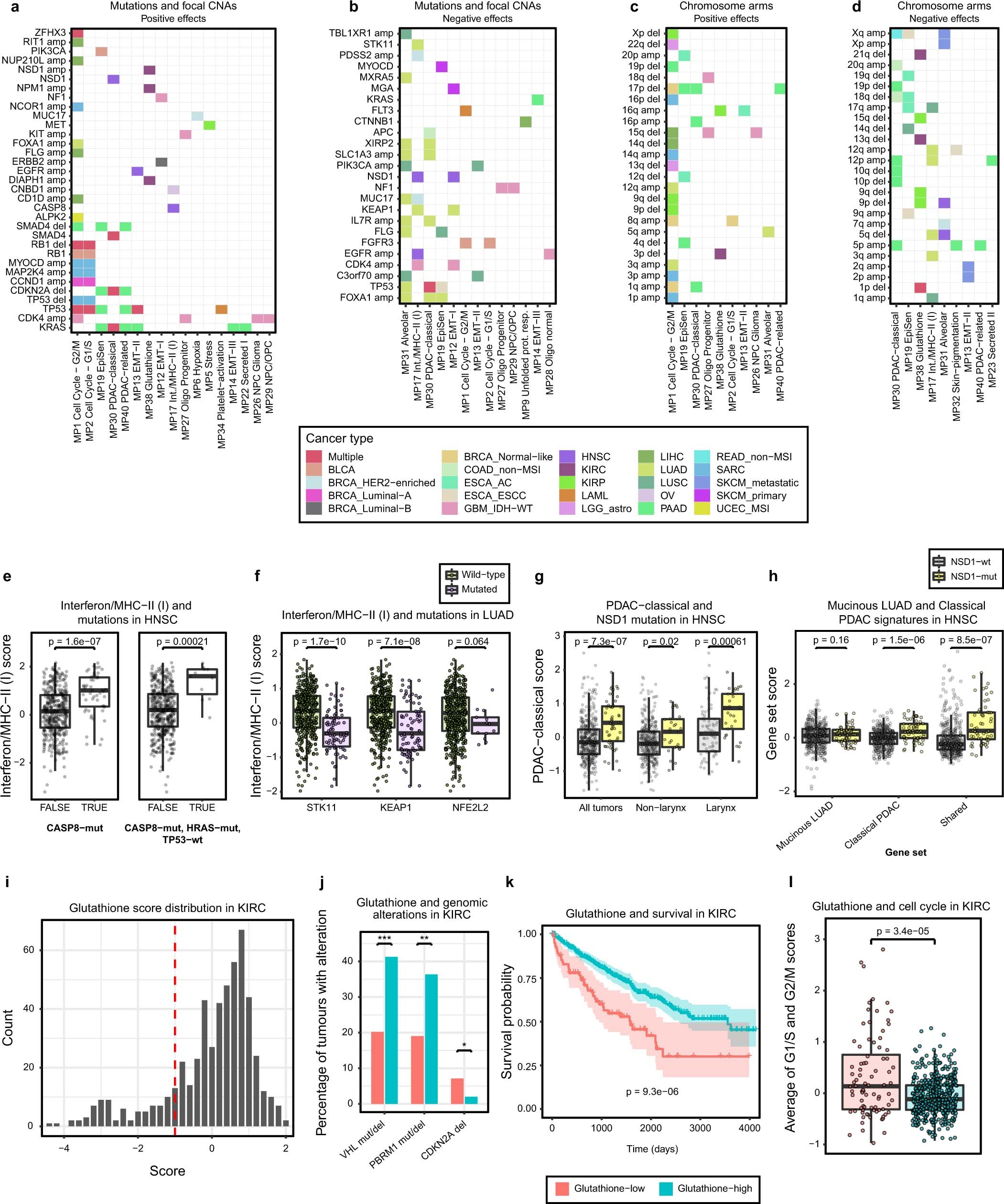 Extended Data Fig. 4: Associations of MPs with genomic alterations in TCGA data.