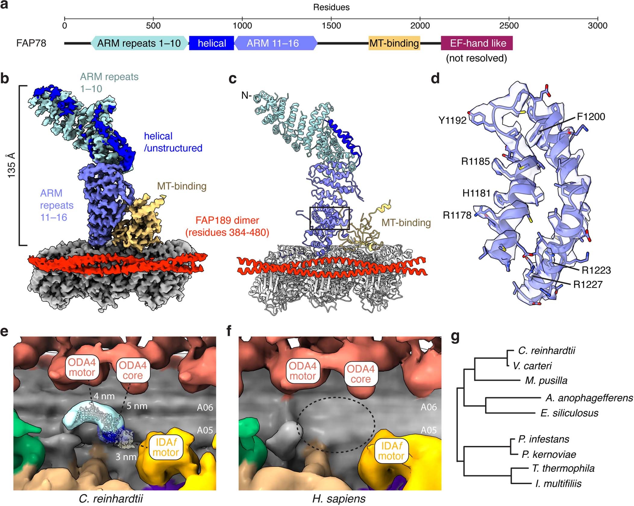 Extended Data Fig. 5