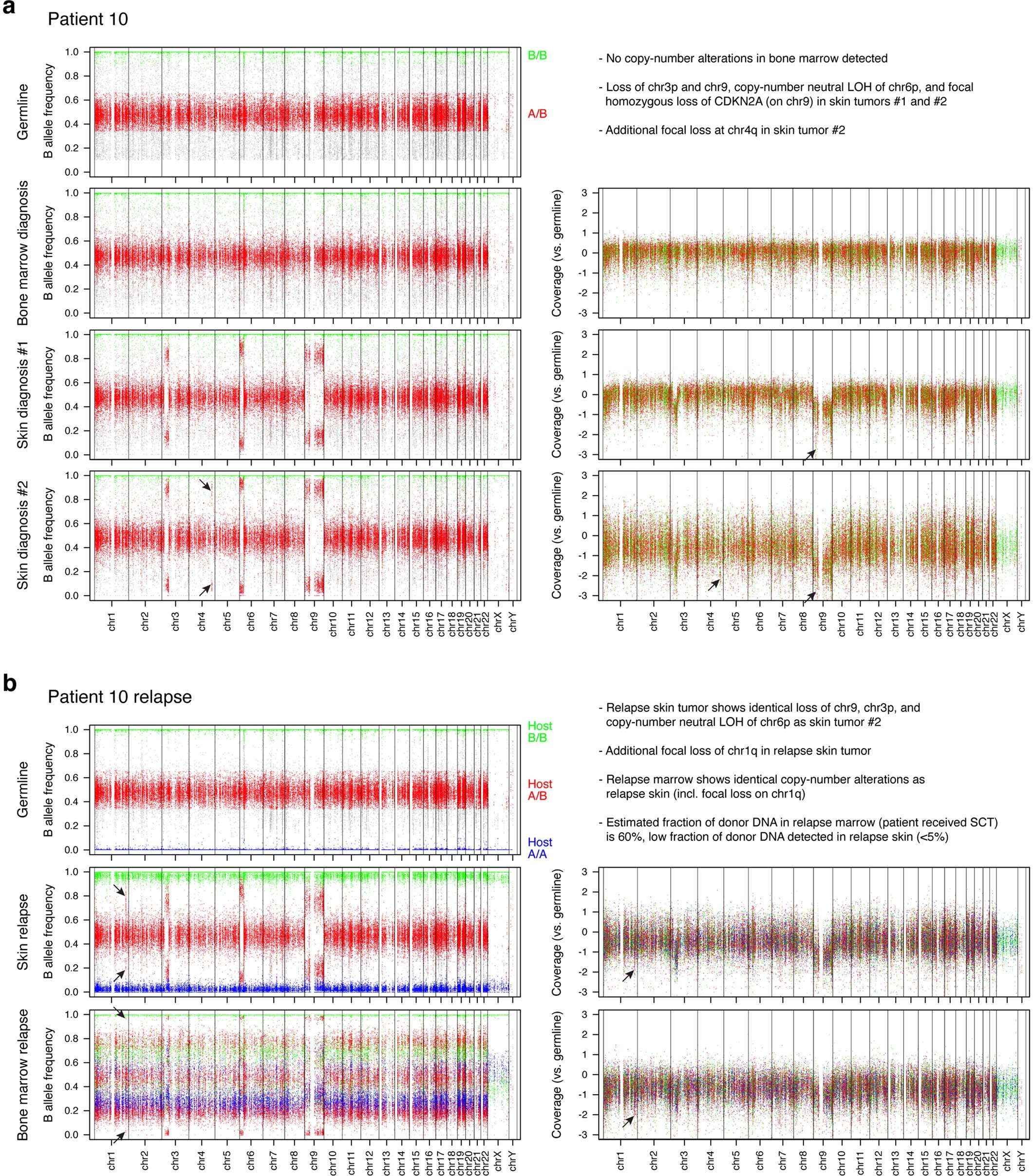 Extended Data Fig. 3: Copy-number alteration analysis of Patient 10 whole-exome sequencing data.