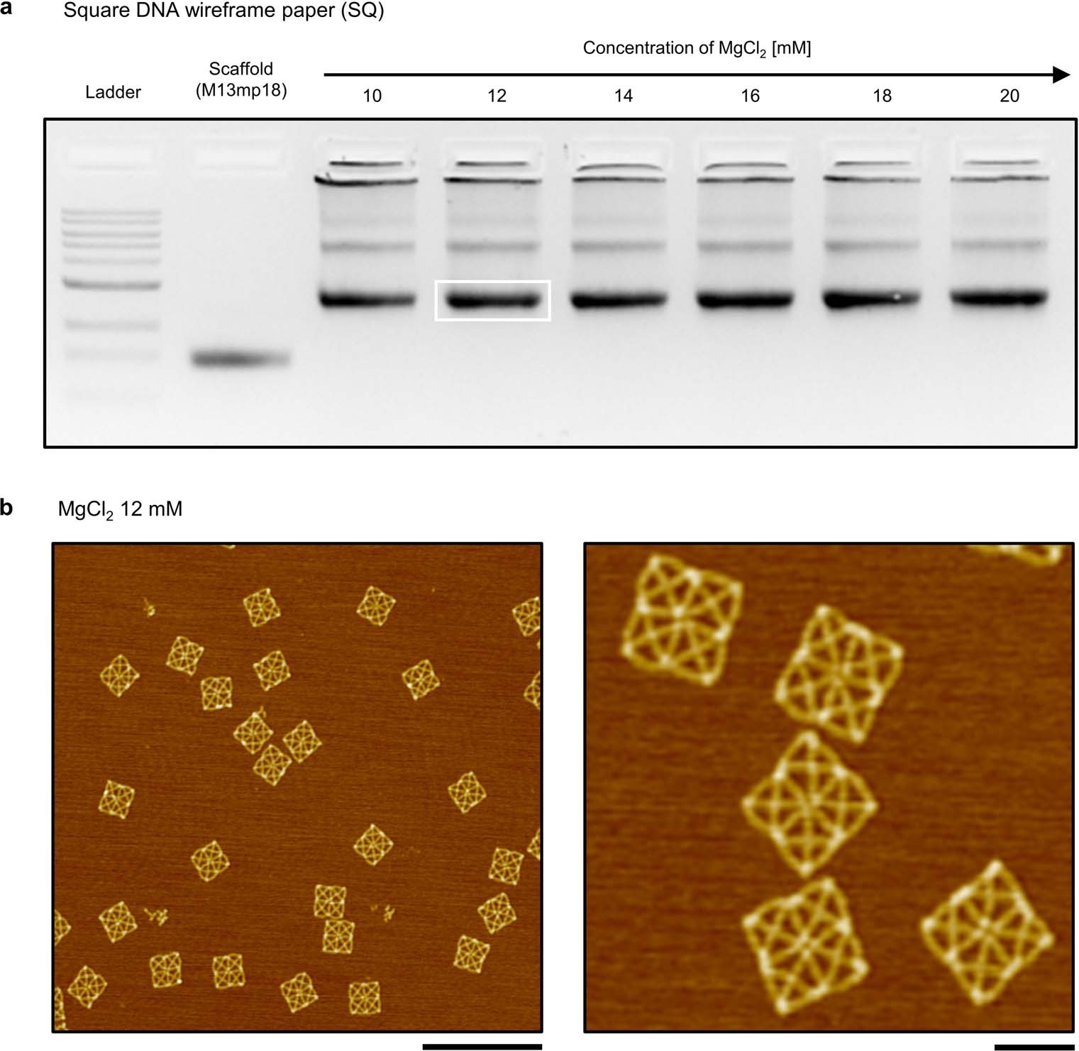 Extended Data Fig. 1