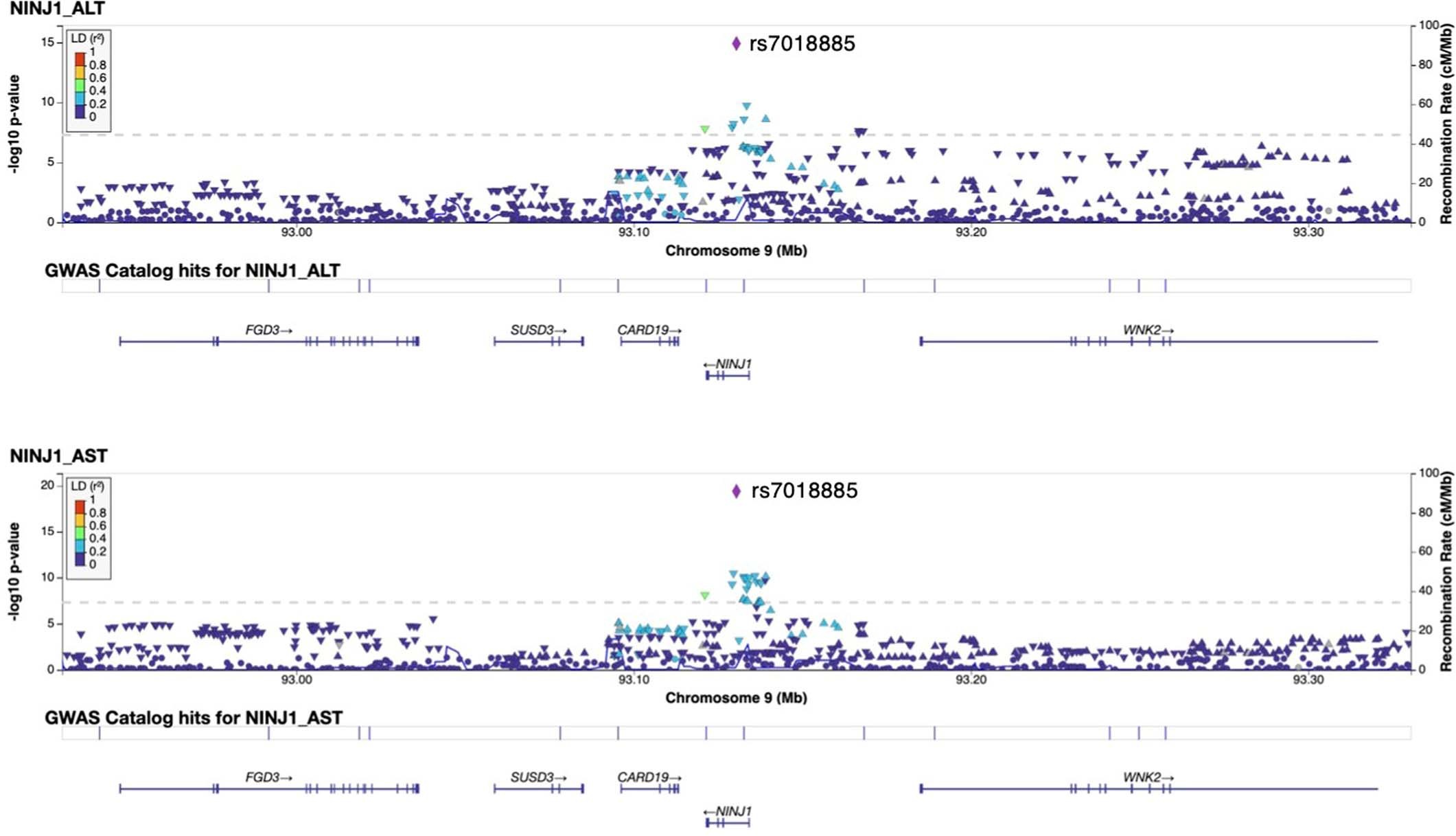 Extended Data Fig. 4: A link between NINJ1 and lower levels of serum AST and ALT in Genome-wide association studies (GWAS).