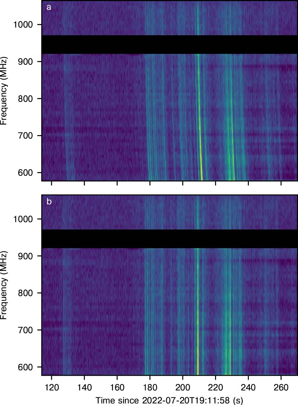 Extended Data Fig. 7: Dynamic spectrum of the 19:12:33 20 July 2022 pulse detected with the APSUSE instrument on MeerKAT.