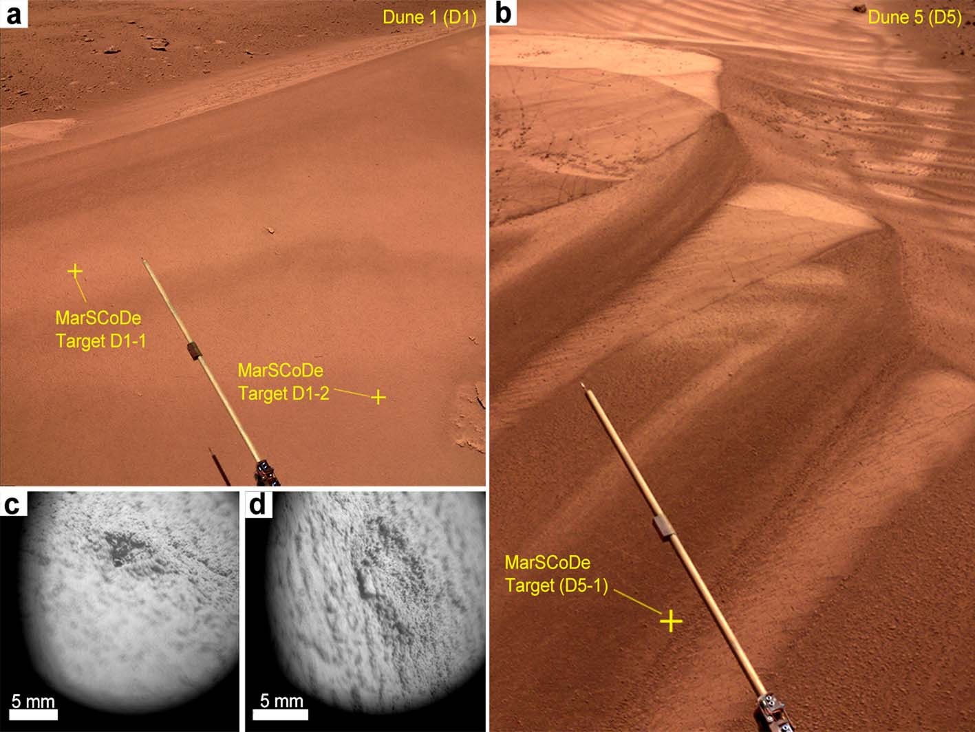 Extended Data Fig. 5: The observations of MarSCoDe on Dune 1 and 5.
