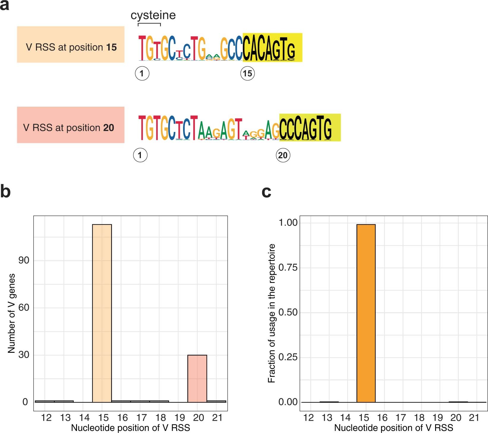 Extended Data Fig. 1: Position of RSS elements in tra variable genes of Danio rerio.