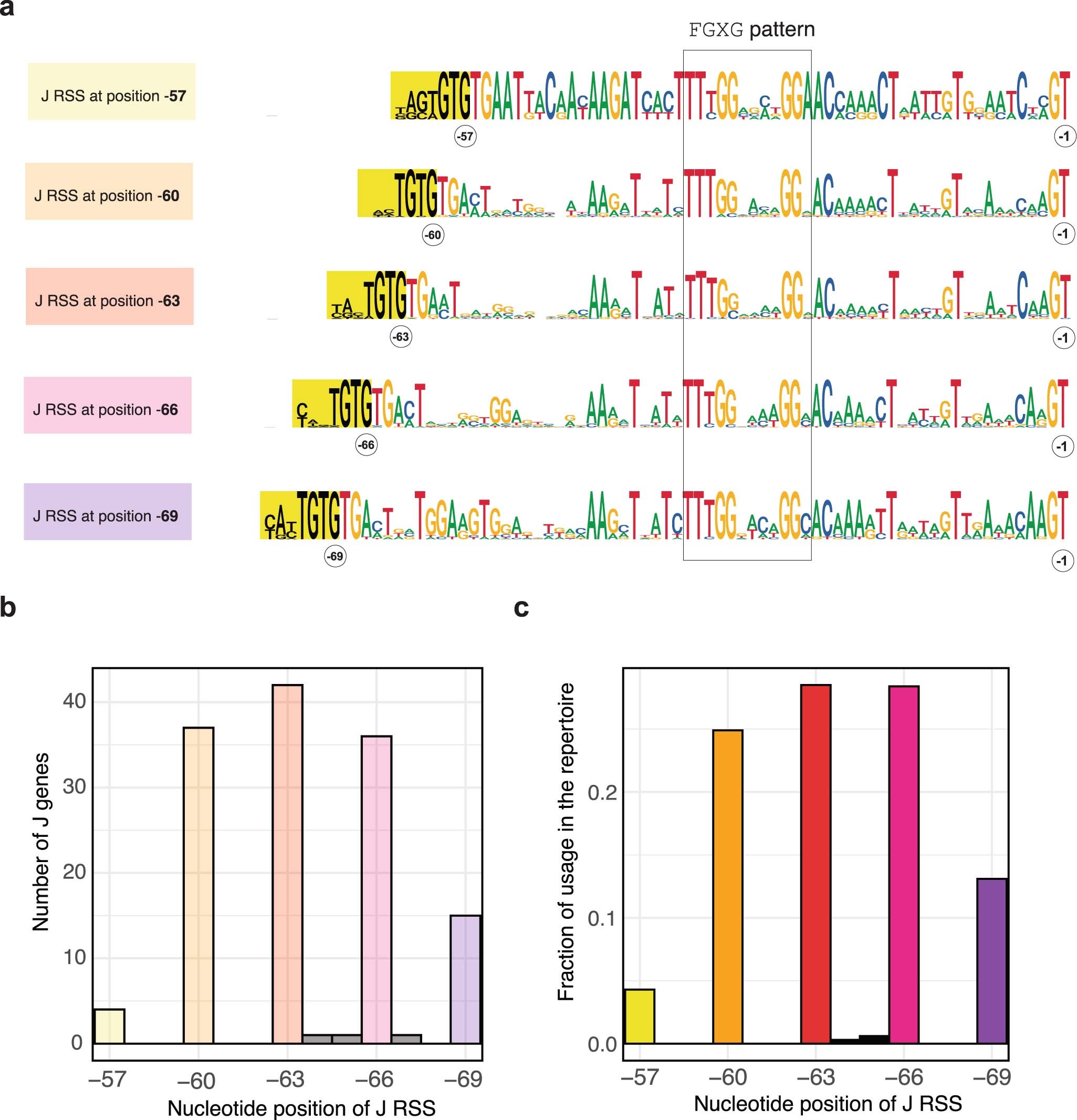 Extended Data Fig. 3: Position of RSS elements in traj genes of D. rerio.