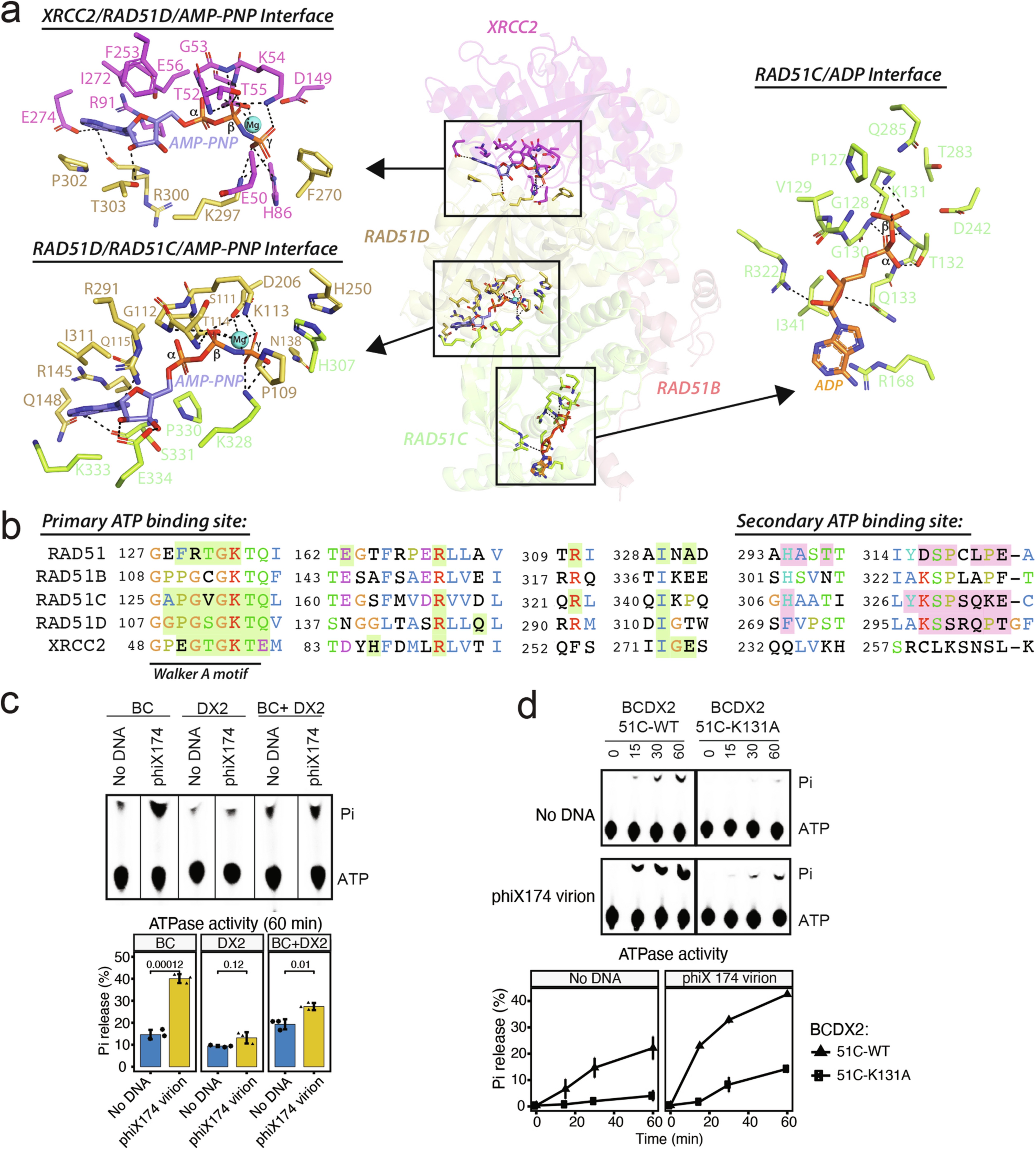 Extended Data Fig. 4