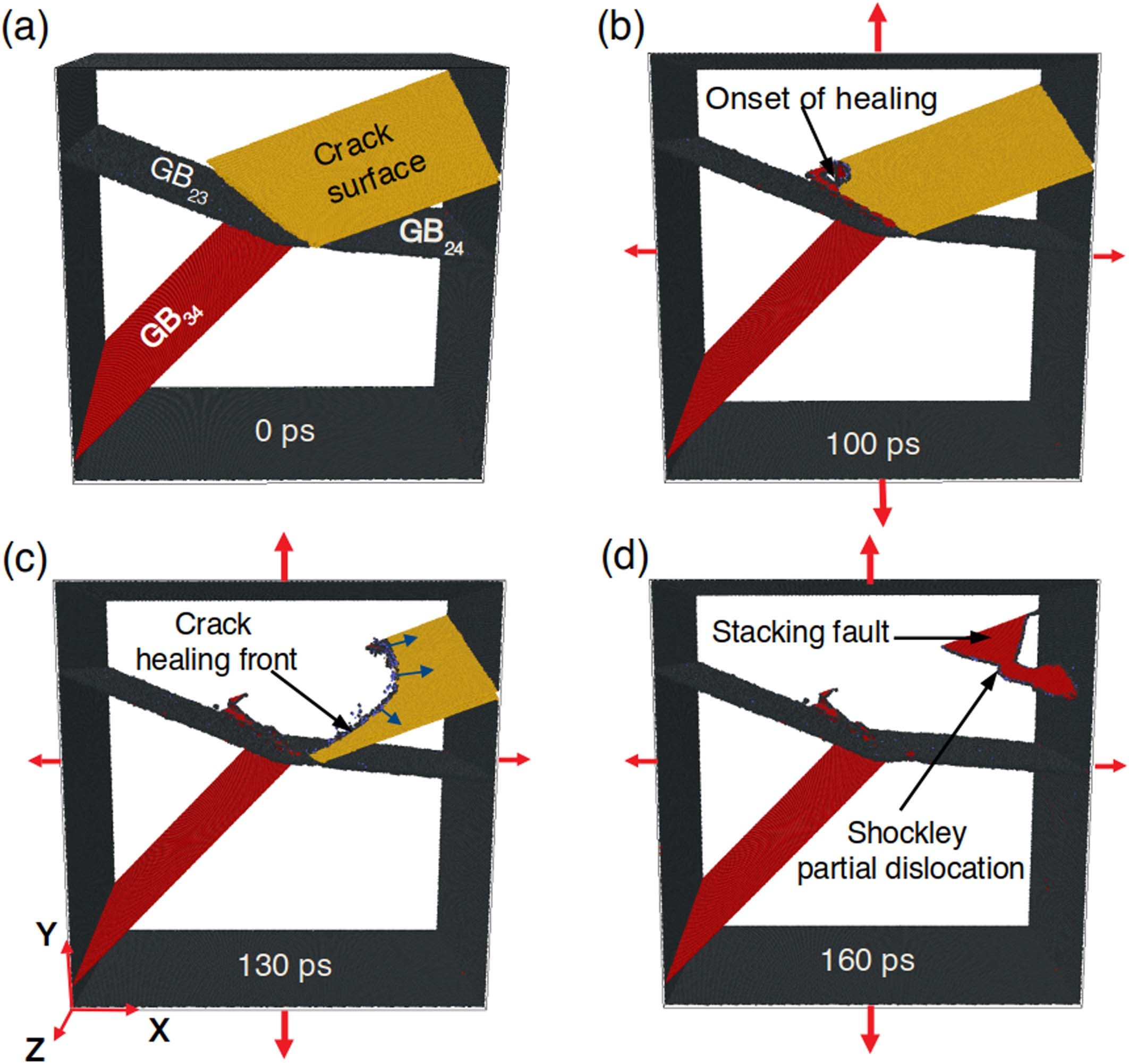 Extended Data Fig. 3
