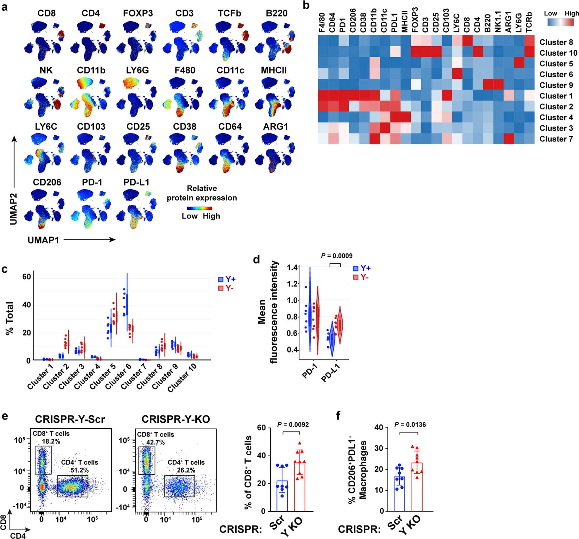 Extended Data Fig. 5: Comprehensive immune phenotyping of tumor-infiltrating leukocytes (TILs) in Y+ and Y- MB49 tumors.