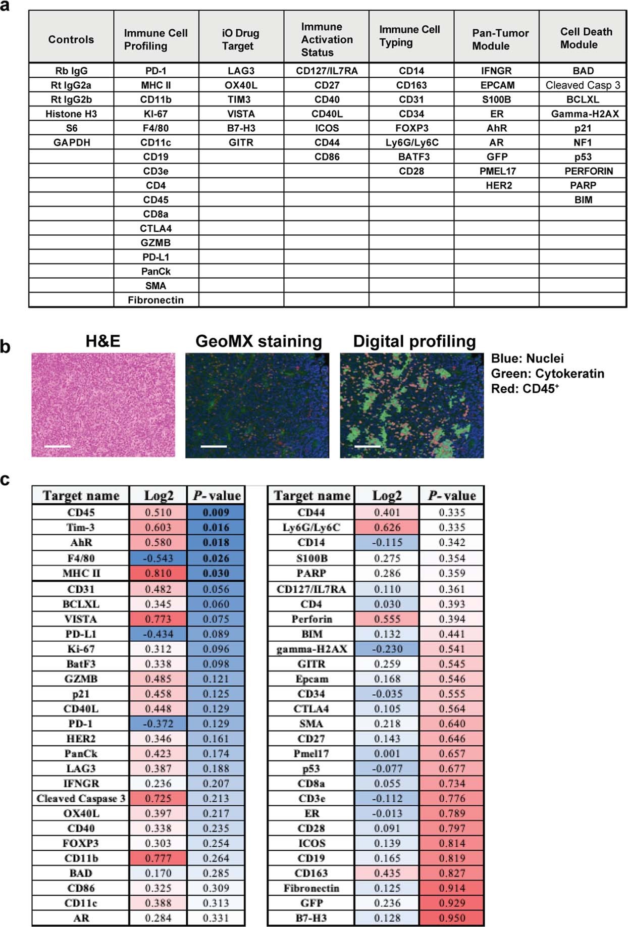 Extended Data Fig. 6: GeoMX histological evaluation of infiltrating immune cells in Y- and Y+ MB49 tumors.