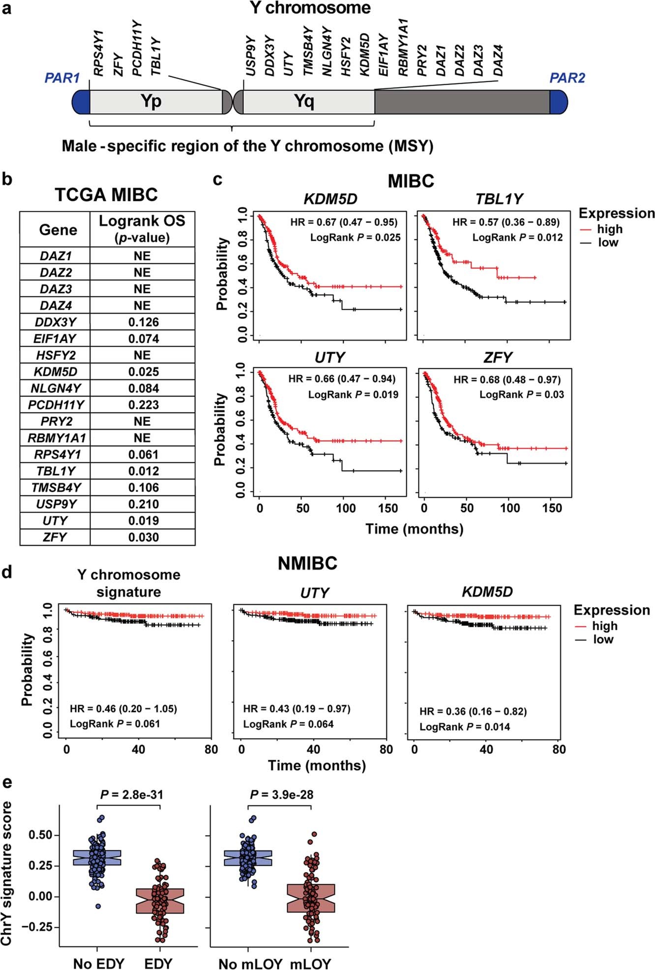 Extended Data Fig. 1: LOY is associated with a worse clinical outcome for patients with MIBC and NMIBC.