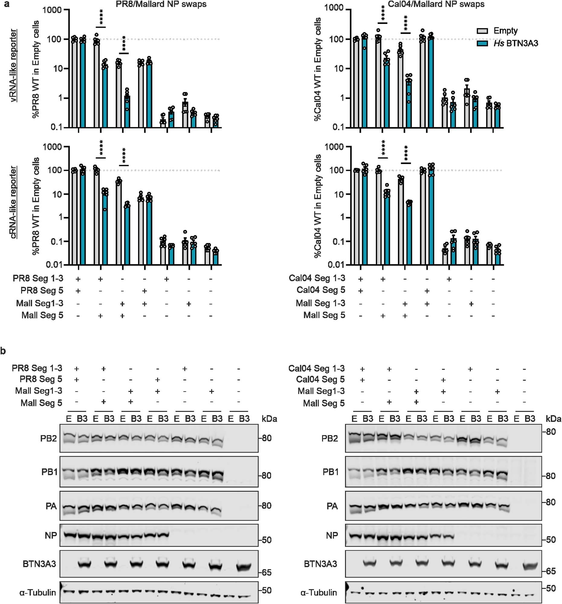 Extended Data Fig. 8