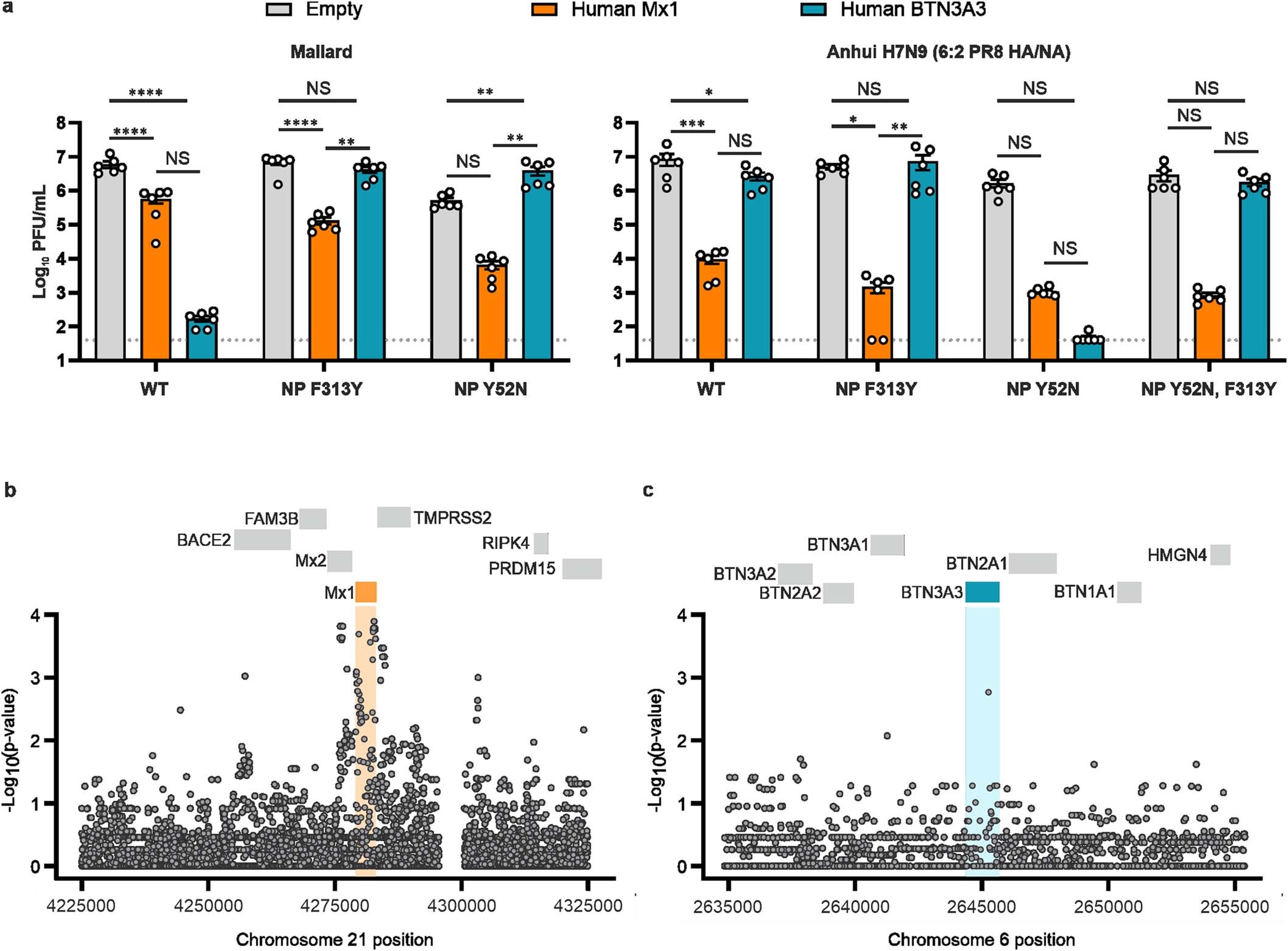 Extended Data Fig. 11