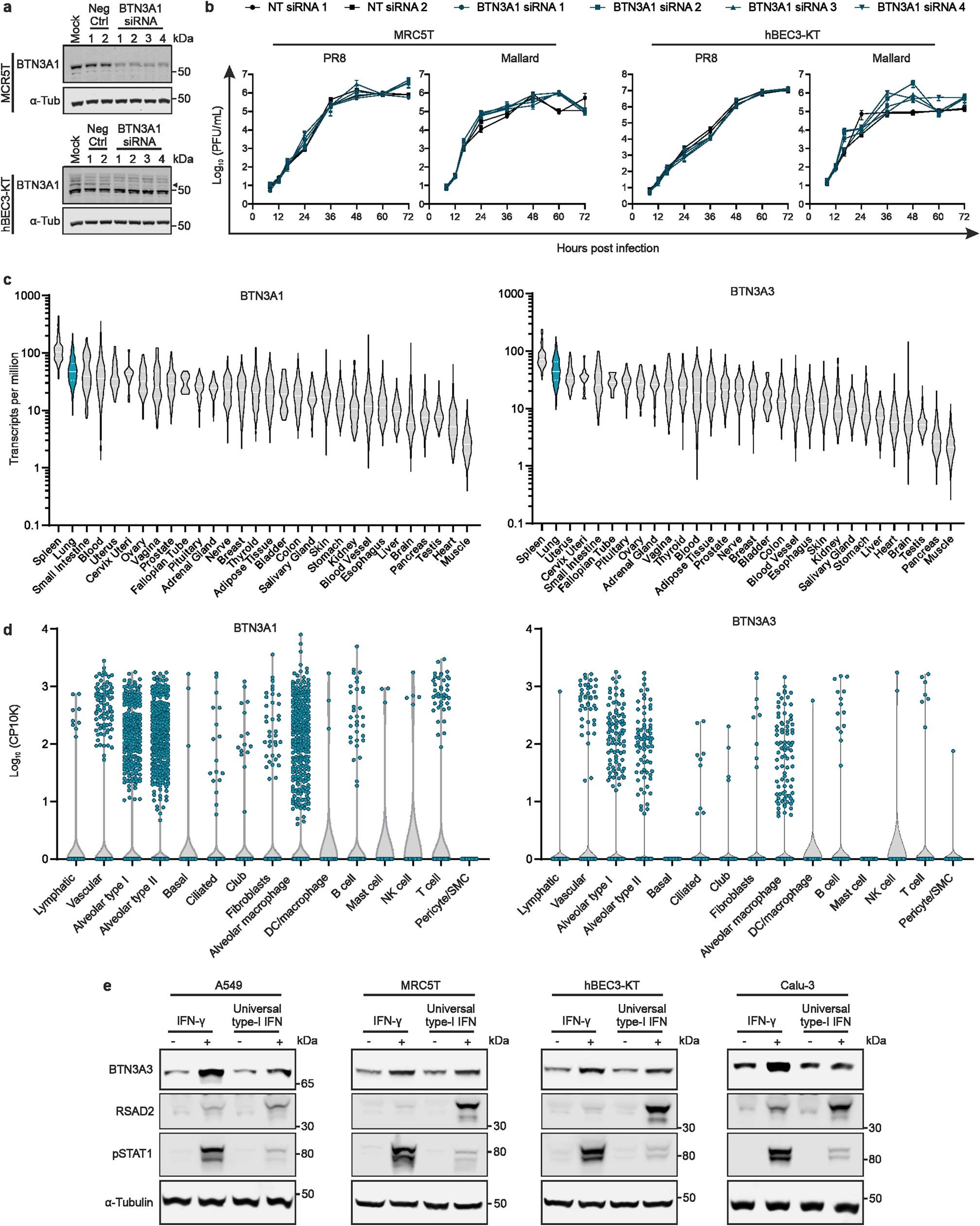 Extended Data Fig. 1