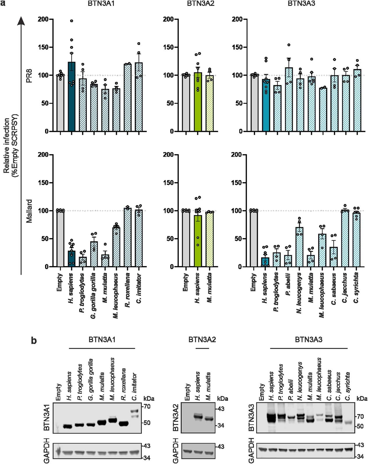 Extended Data Fig. 3