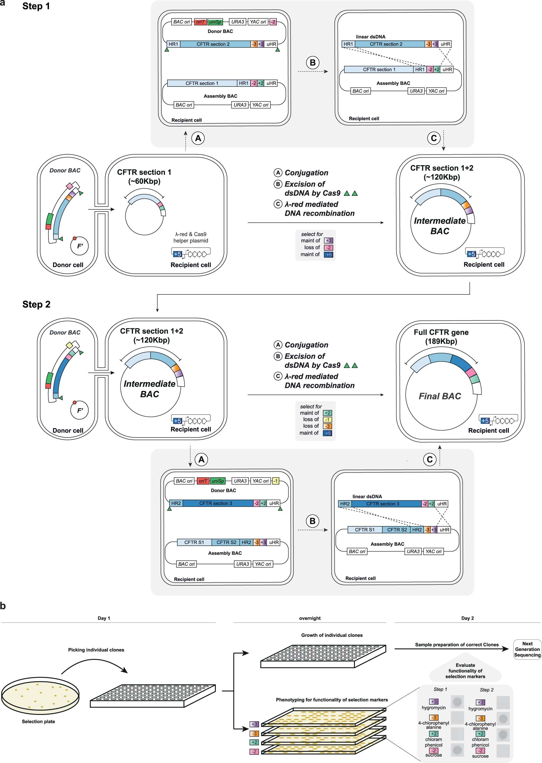 Extended Data Fig. 3