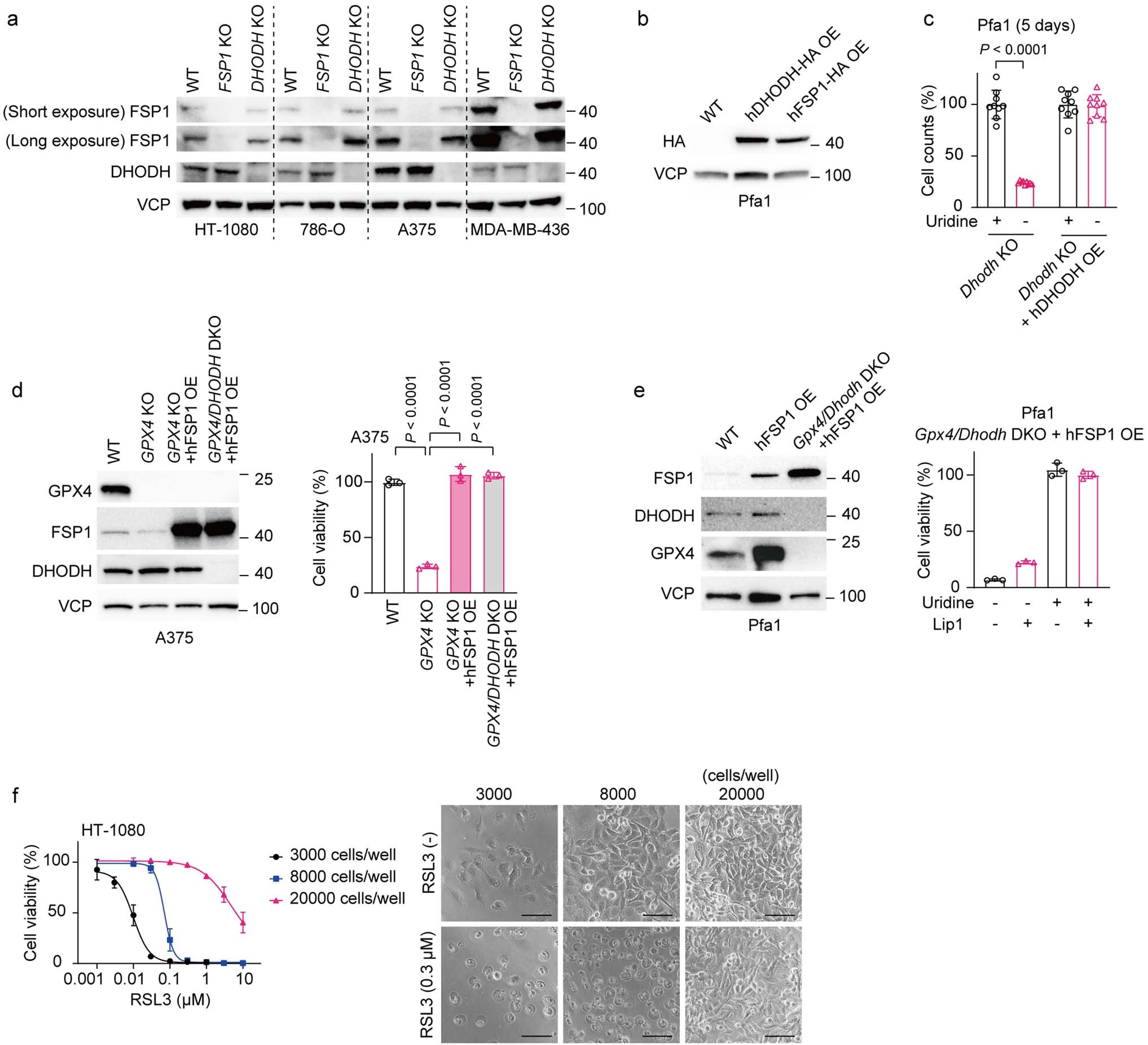 Extended Data Fig. 3
