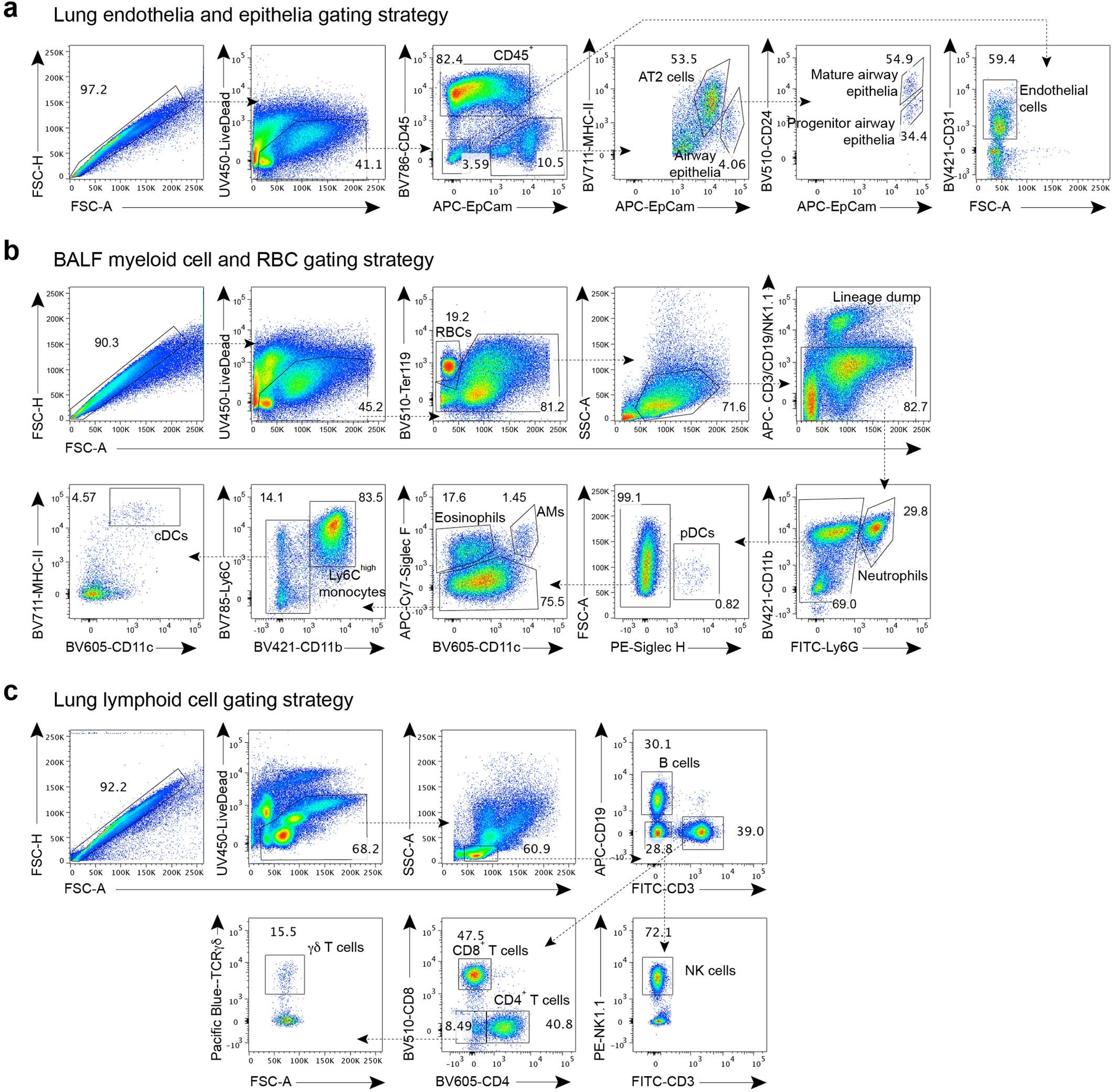 Extended Data Fig. 1: Gating strategies for lung cell populations.