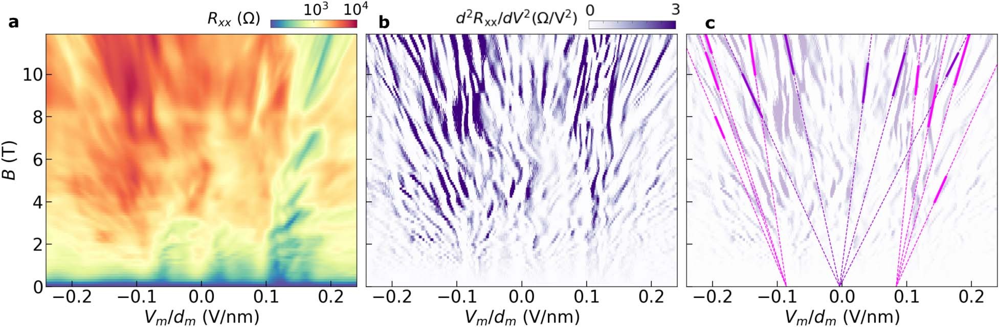 Extended Data Fig. 8: Representative constrained fit results for Landau fans acquired by sweeping Vm in the t1+10 device.