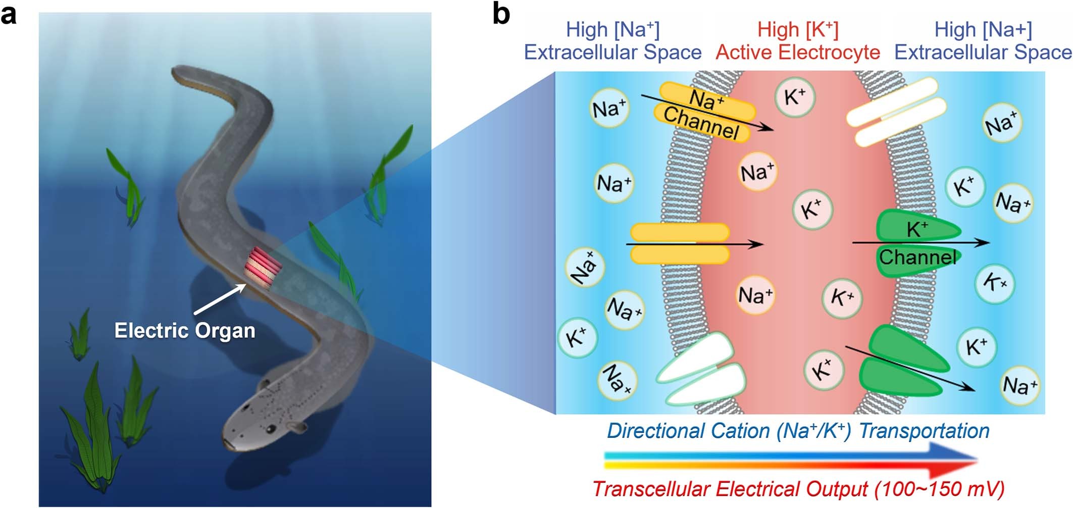 Extended Data Fig. 1