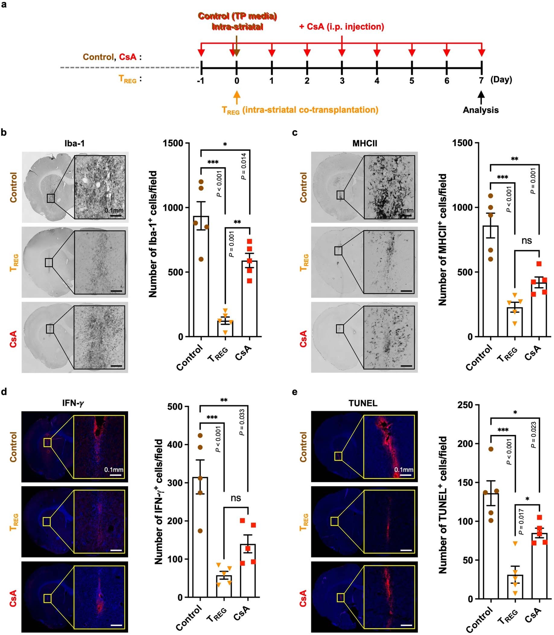 Extended Data Fig. 6
