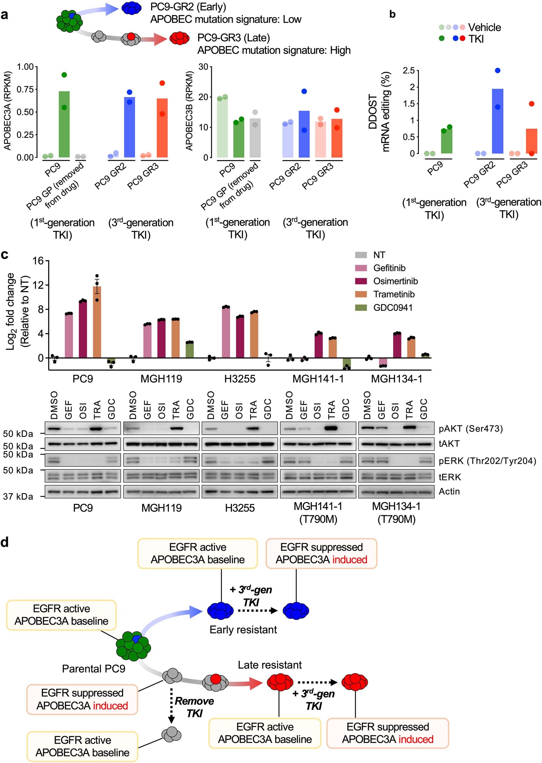 Extended Data Fig. 8