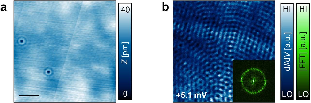 Extended Data Fig. 6