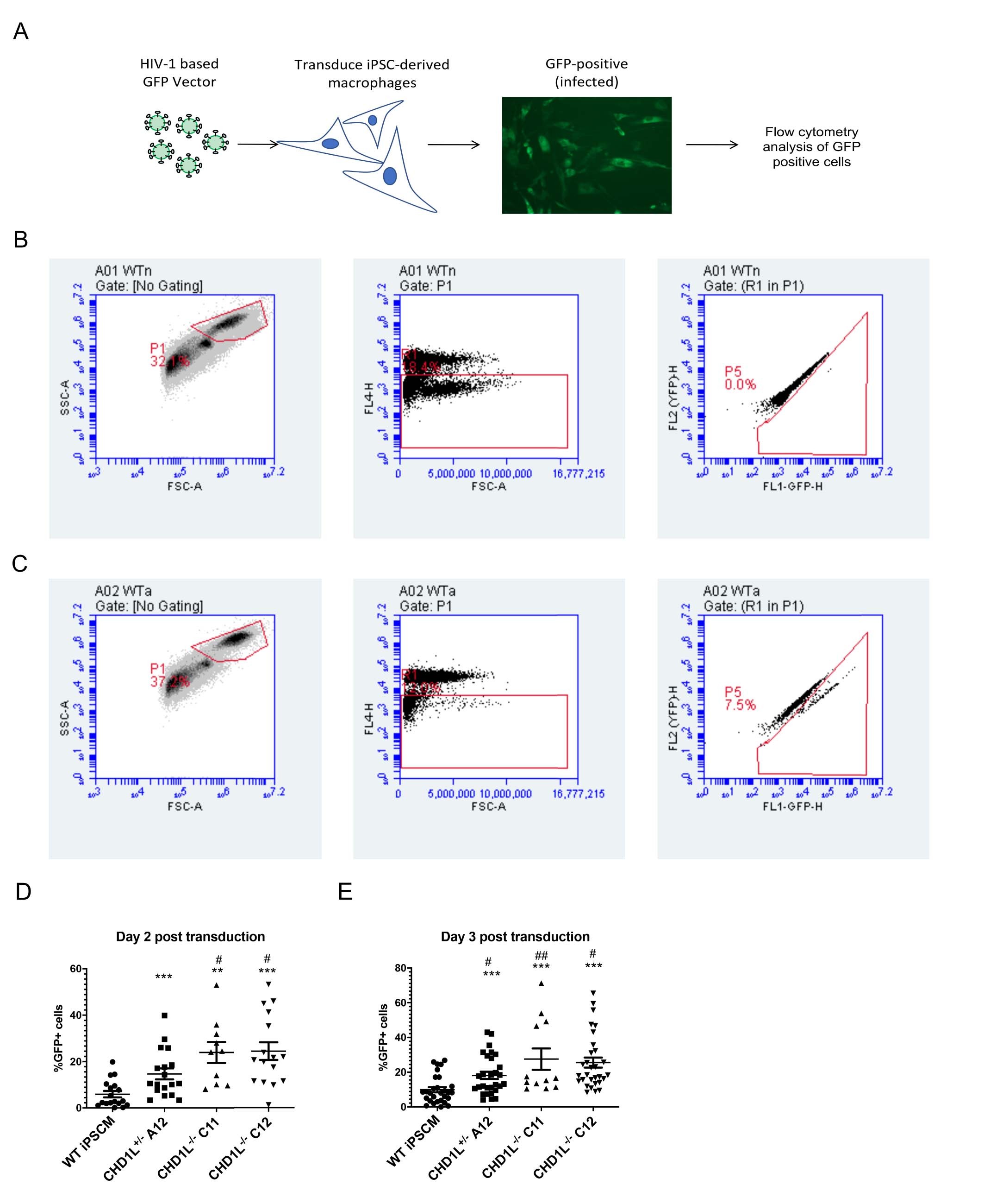 Extended Data Fig. 5: Infection of iPSC-derived macrophages (iPSDMs) with the HIV-1 vector, NL4-3-deltaEnv-GFP/VSV-G.