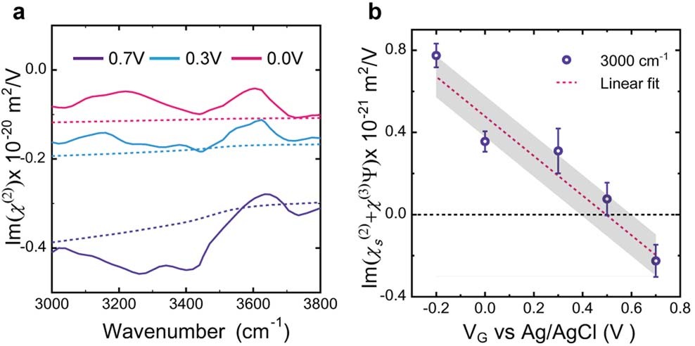 Extended Data Fig. 6: 
                        
                          
                        
                        $${{\boldsymbol{\chi }}}_{{\bf{g}}}^{{\boldsymbol{(}}{\bf{2}}{\boldsymbol{)}}}$$
                        
                          
                            
                              χ
                            
                            
                              g
                            
                            
                              (
                              2
                              )
                            
                          
                        
                       of graphene and χ(3)Ψ in the diffuse layer.