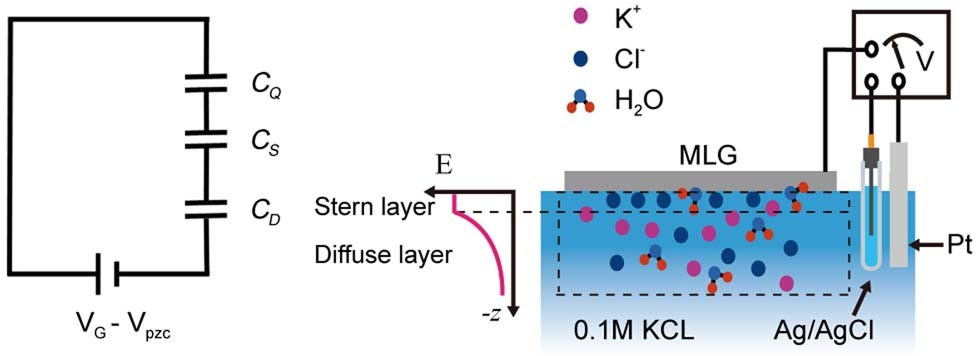 Extended Data Fig. 2: Equivalent circuit model of the interface.