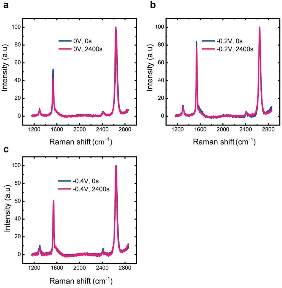 Extended Data Fig. 4: Supplementary Raman spectra.