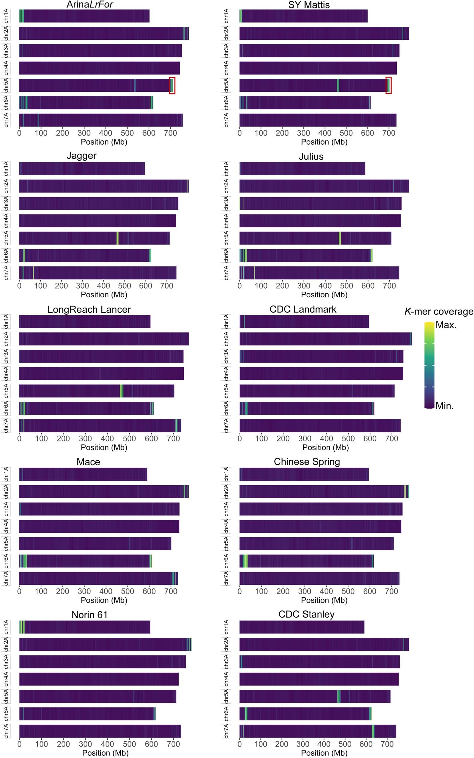 Extended Data Fig. 9: Einkorn introgression into 10 chromosome-scale bread wheat assemblies based on k-mer mapping approach.