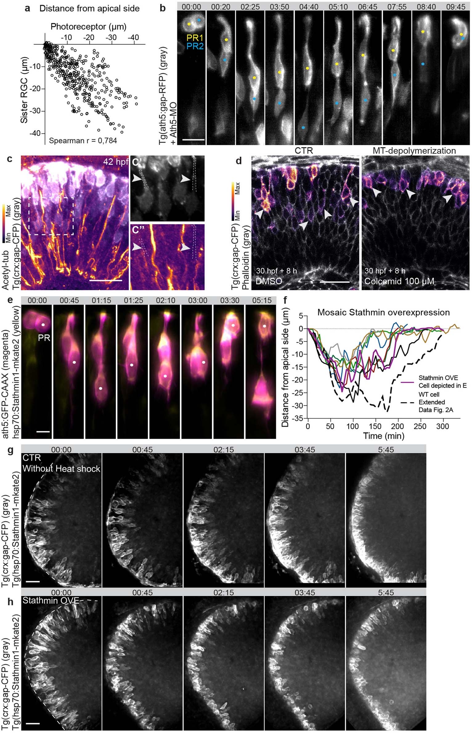 Extended Data Fig. 4
