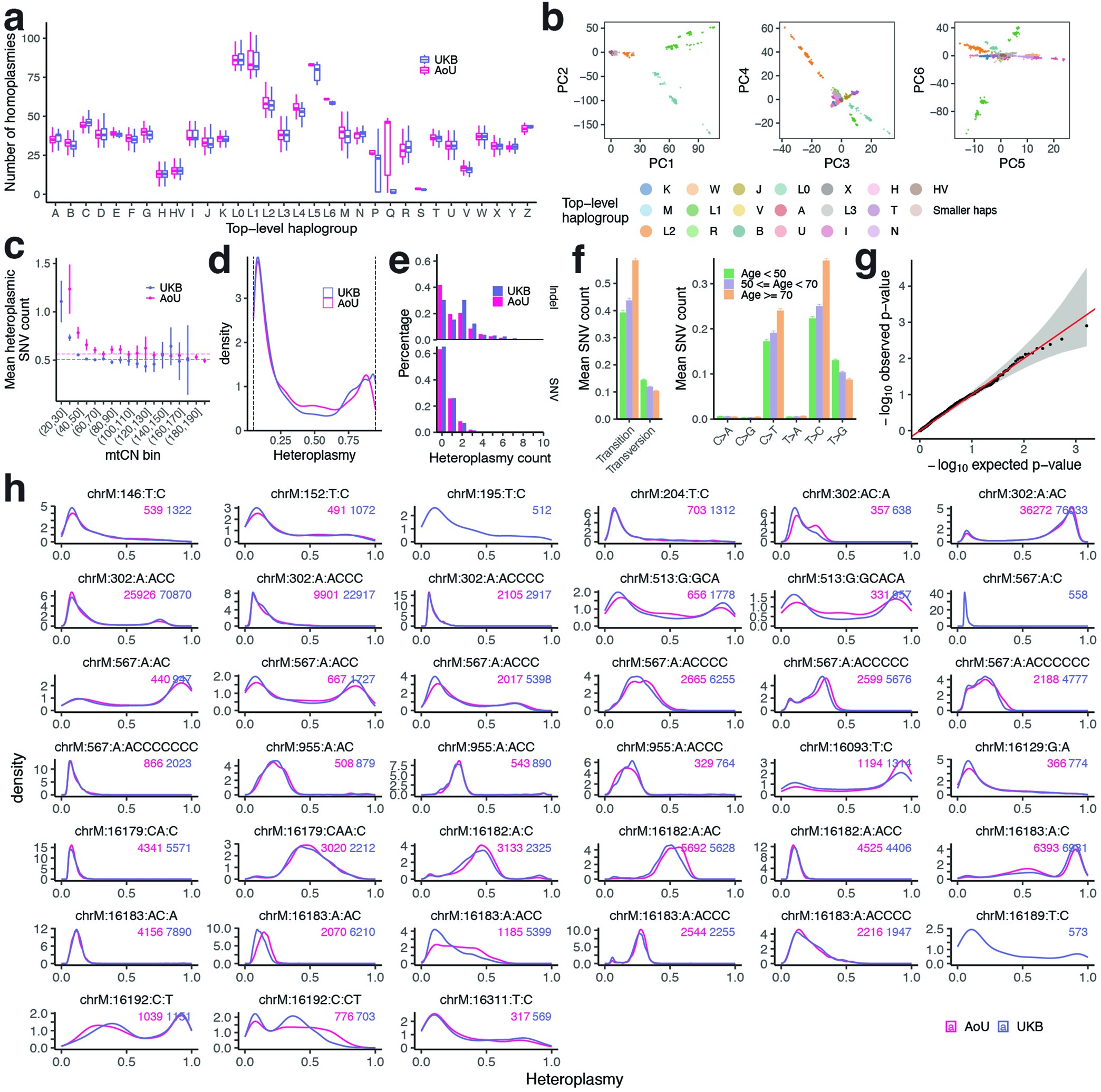 Extended Data Fig. 8: Overview of mtDNA variation across >250,000 individuals.