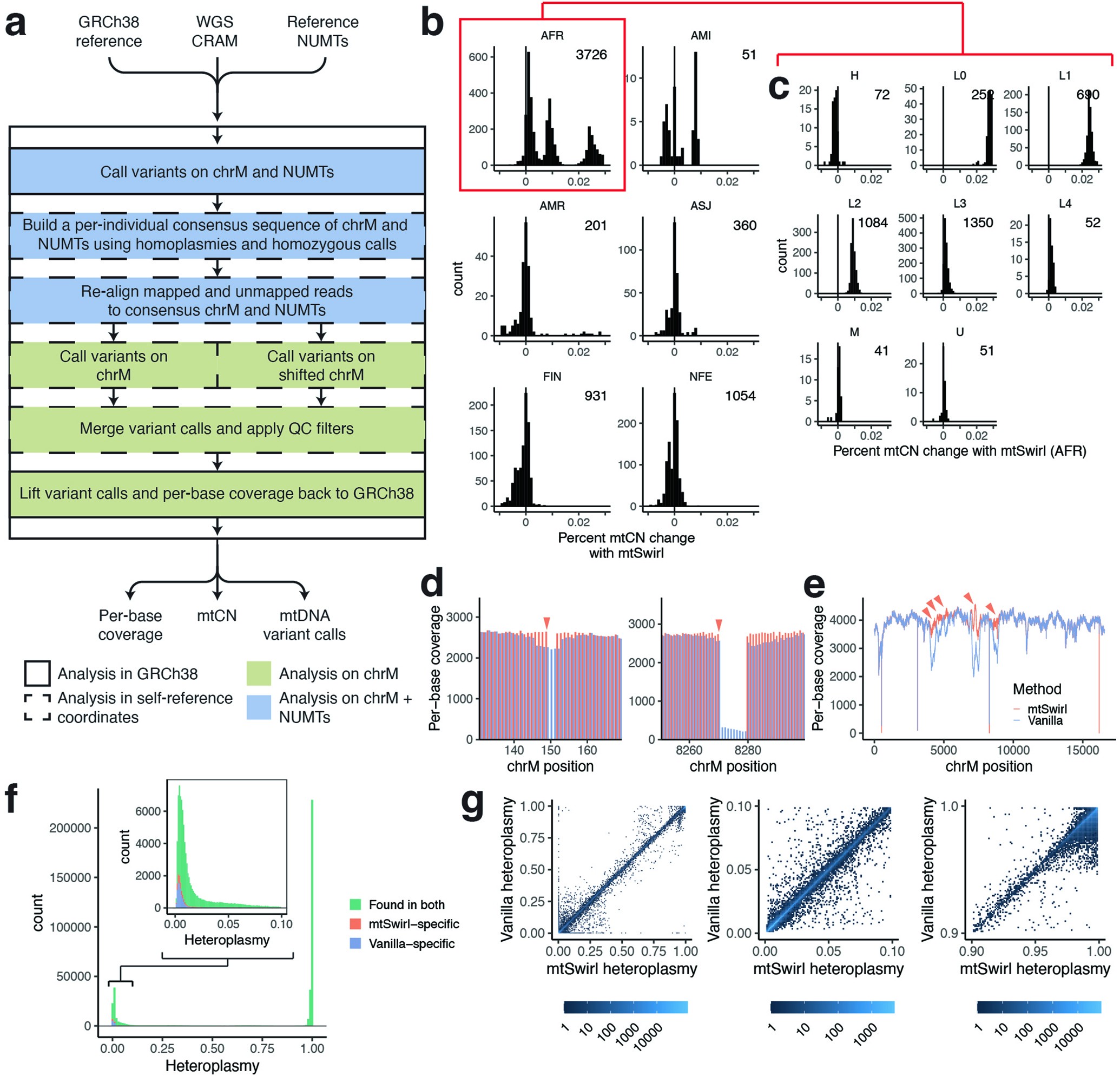 Extended Data Fig. 1: Copy number and heteroplasmy estimation improvements using mtSwirl pipeline.