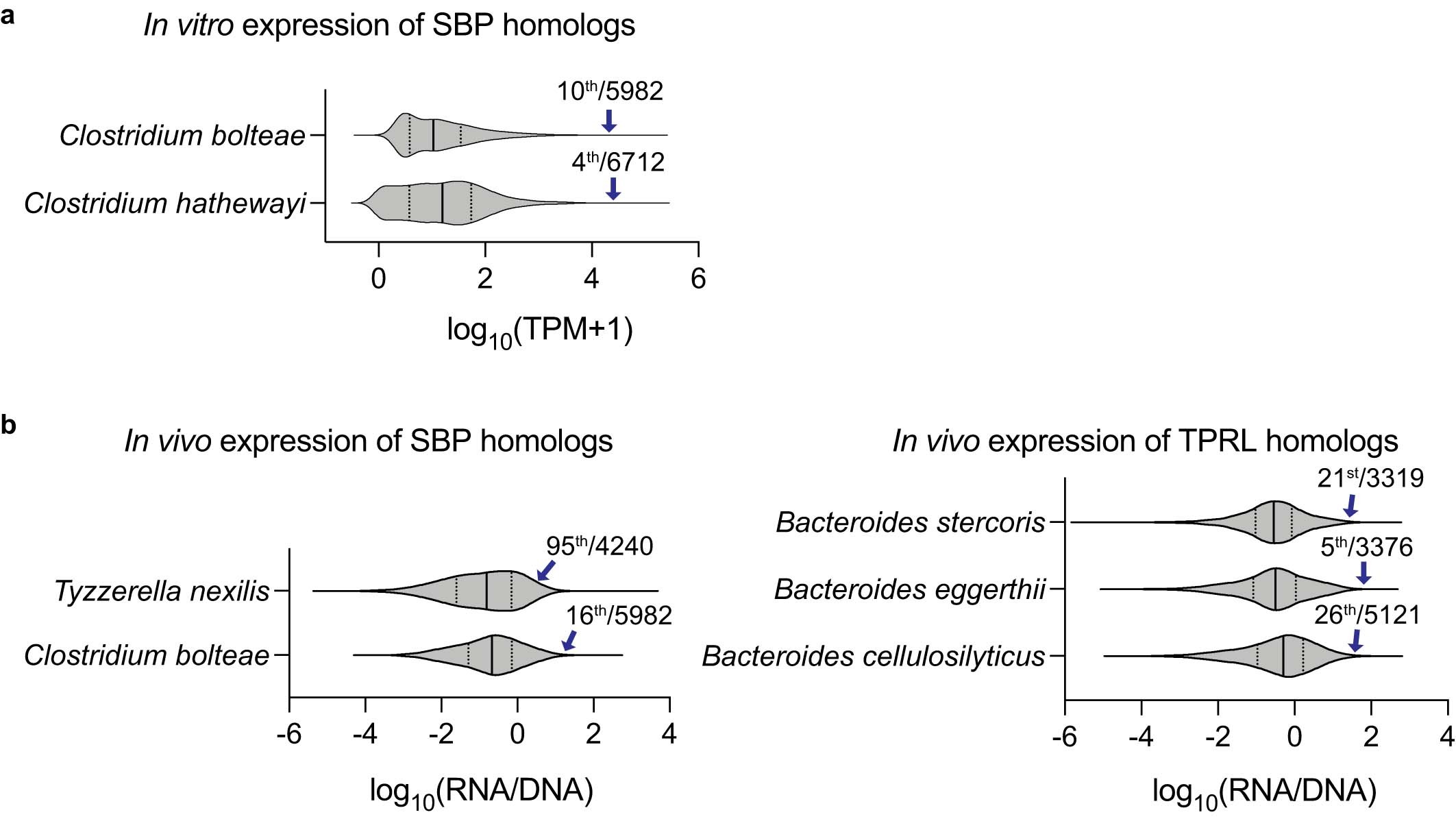 Extended Data Fig. 11: T cell targets are highly expressed in vitro and in vivo.
