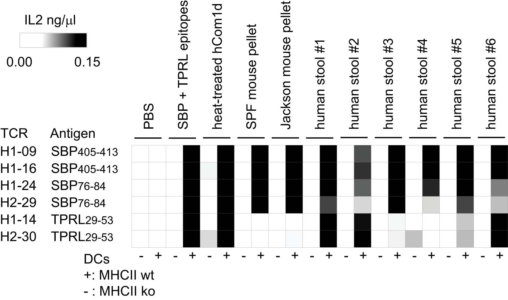 Extended Data Fig. 12