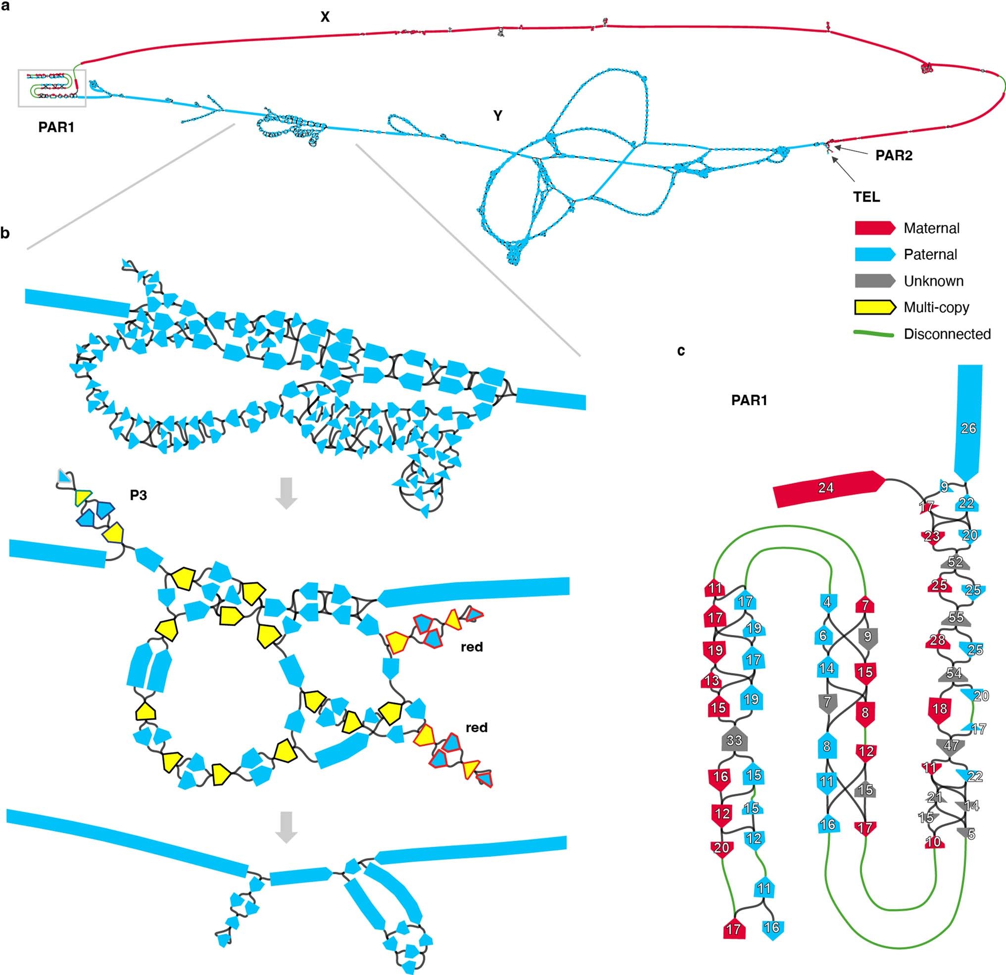 Extended Data Fig. 1: Assembling the X and Y chromosomes of HG002.