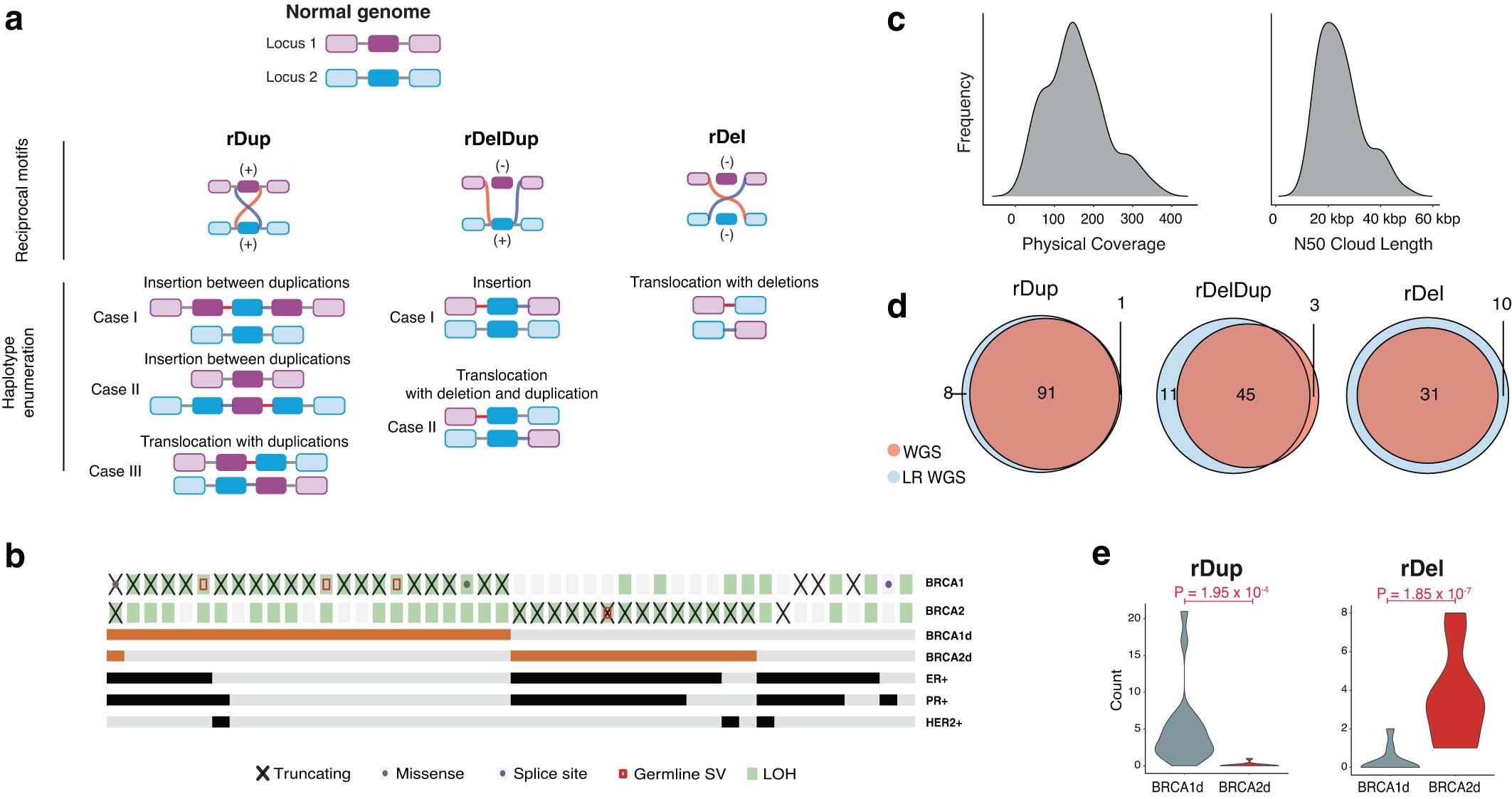 Extended Data Fig. 4: Haplotype deconvolution of reciprocal pairs with LR WGS validates reciprocal pairs in BRCA1- and BRCA2 mutated cancers.