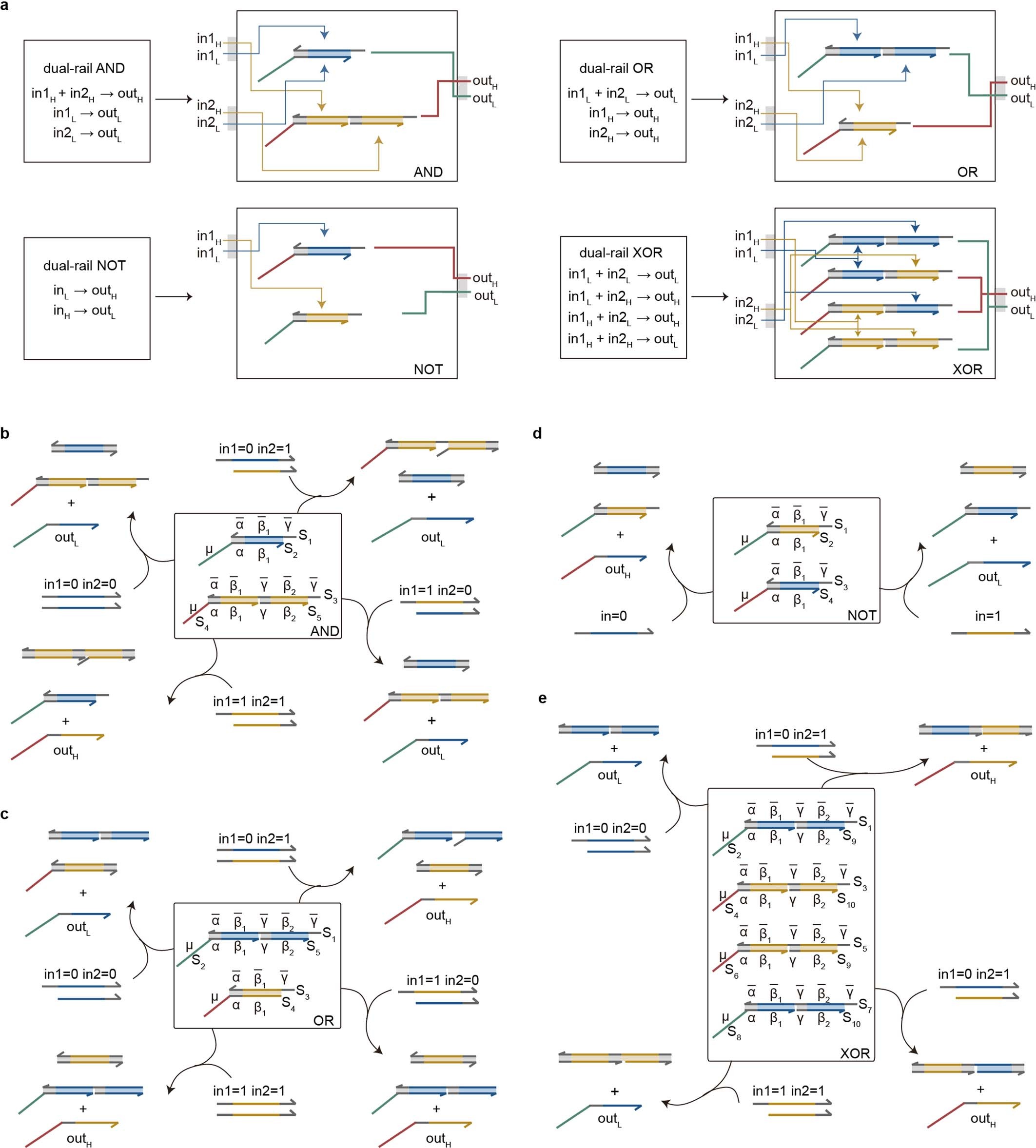 Extended Data Fig. 4: Internal structures and operating mechanisms of the four dual-rail gates.