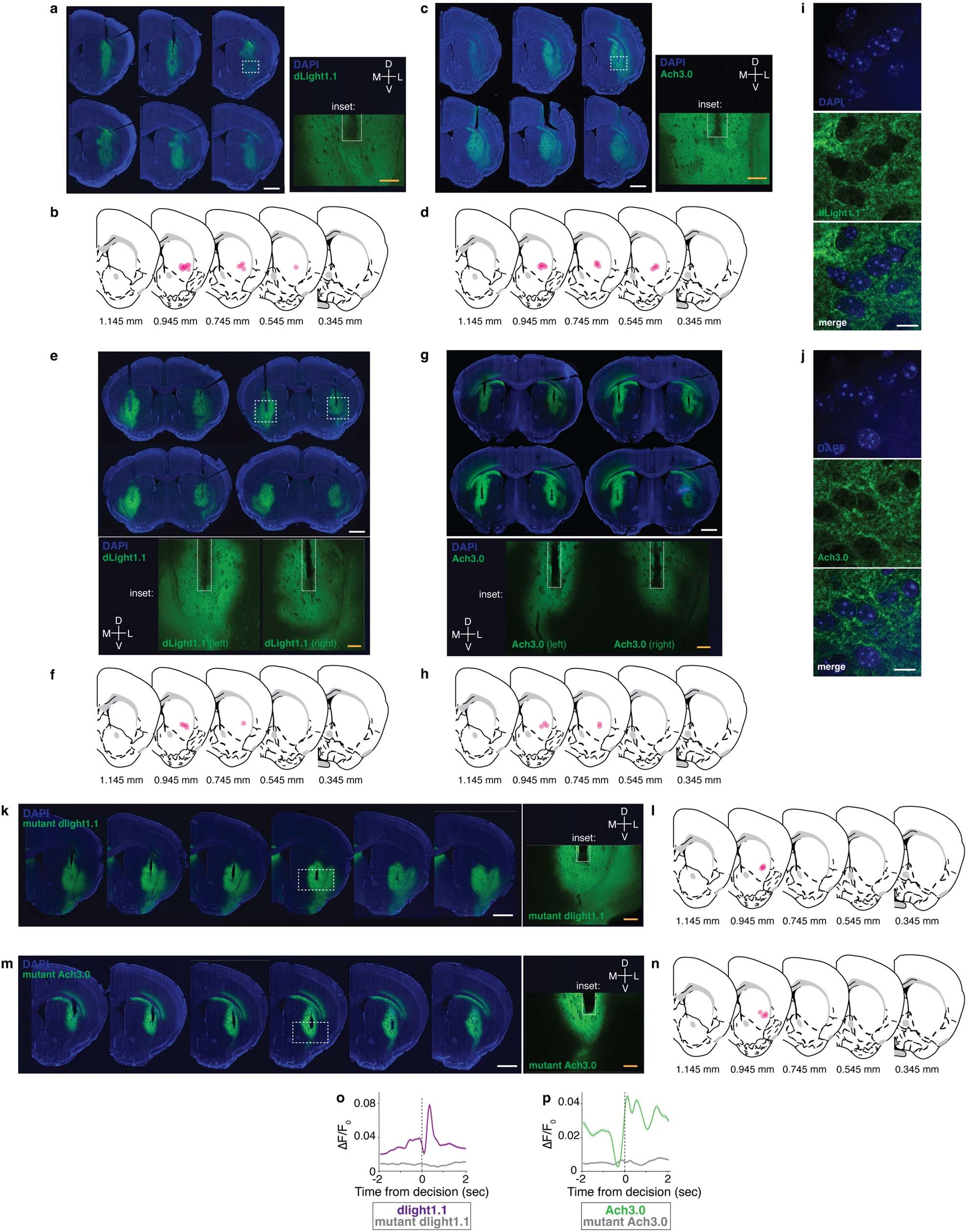 Extended Data Fig. 2