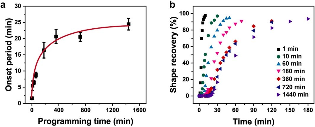 Extended Data Fig. 5: Adjusting the shape recovery behaviors of the hydrogel by altering programming times.
