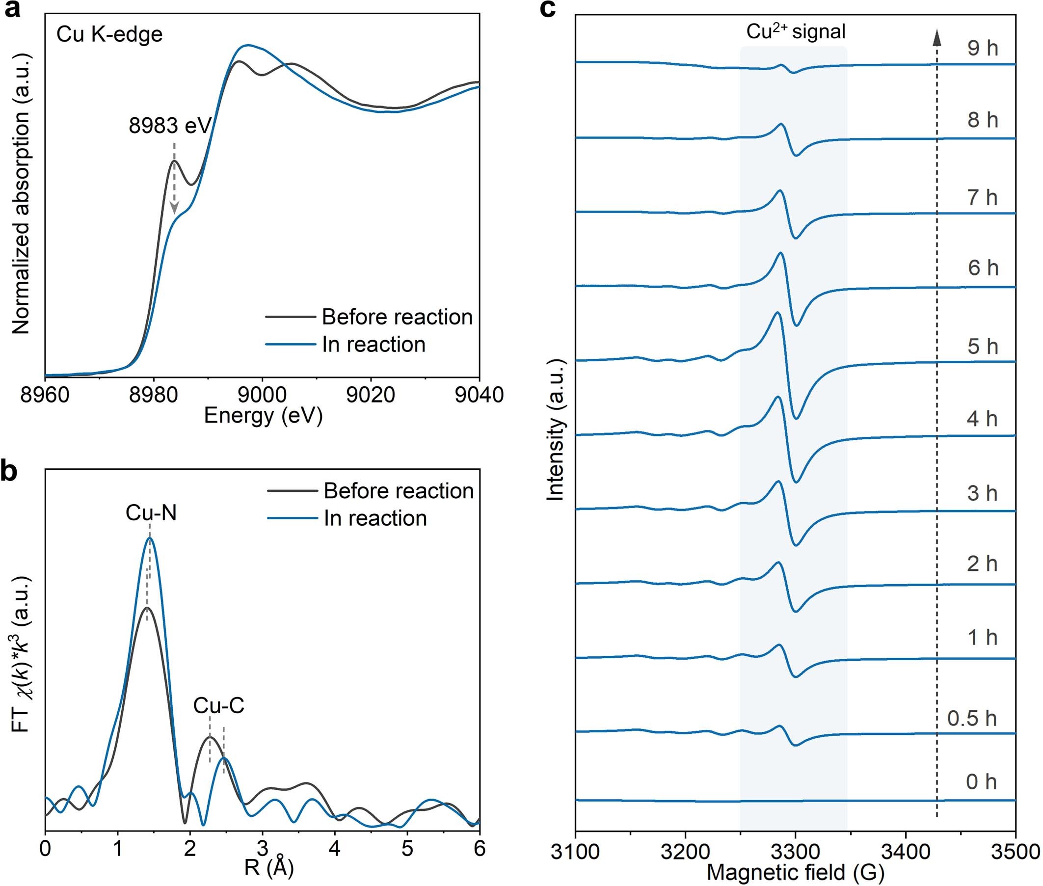 Extended Data Fig. 8