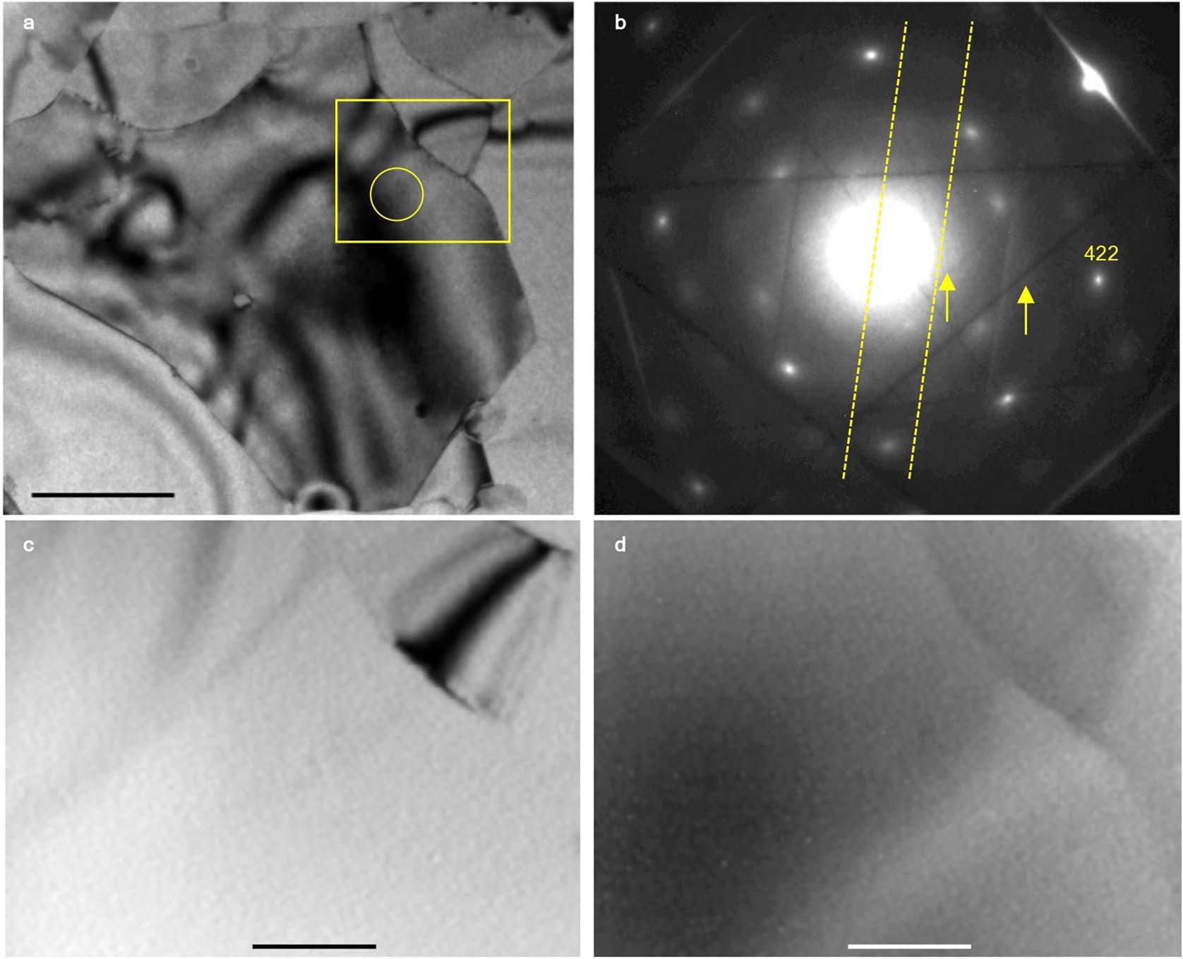Extended Data Fig. 1