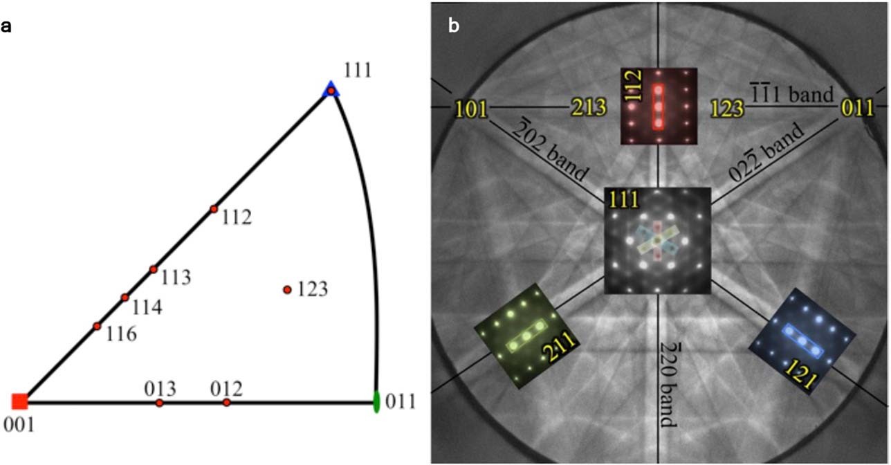 Extended Data Fig. 4