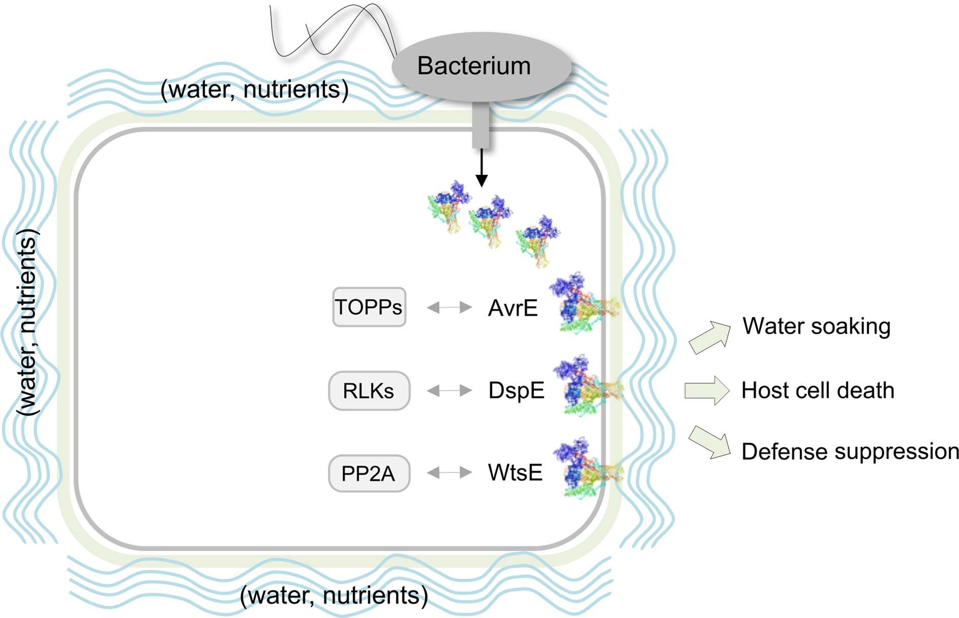 Extended Data Fig. 8