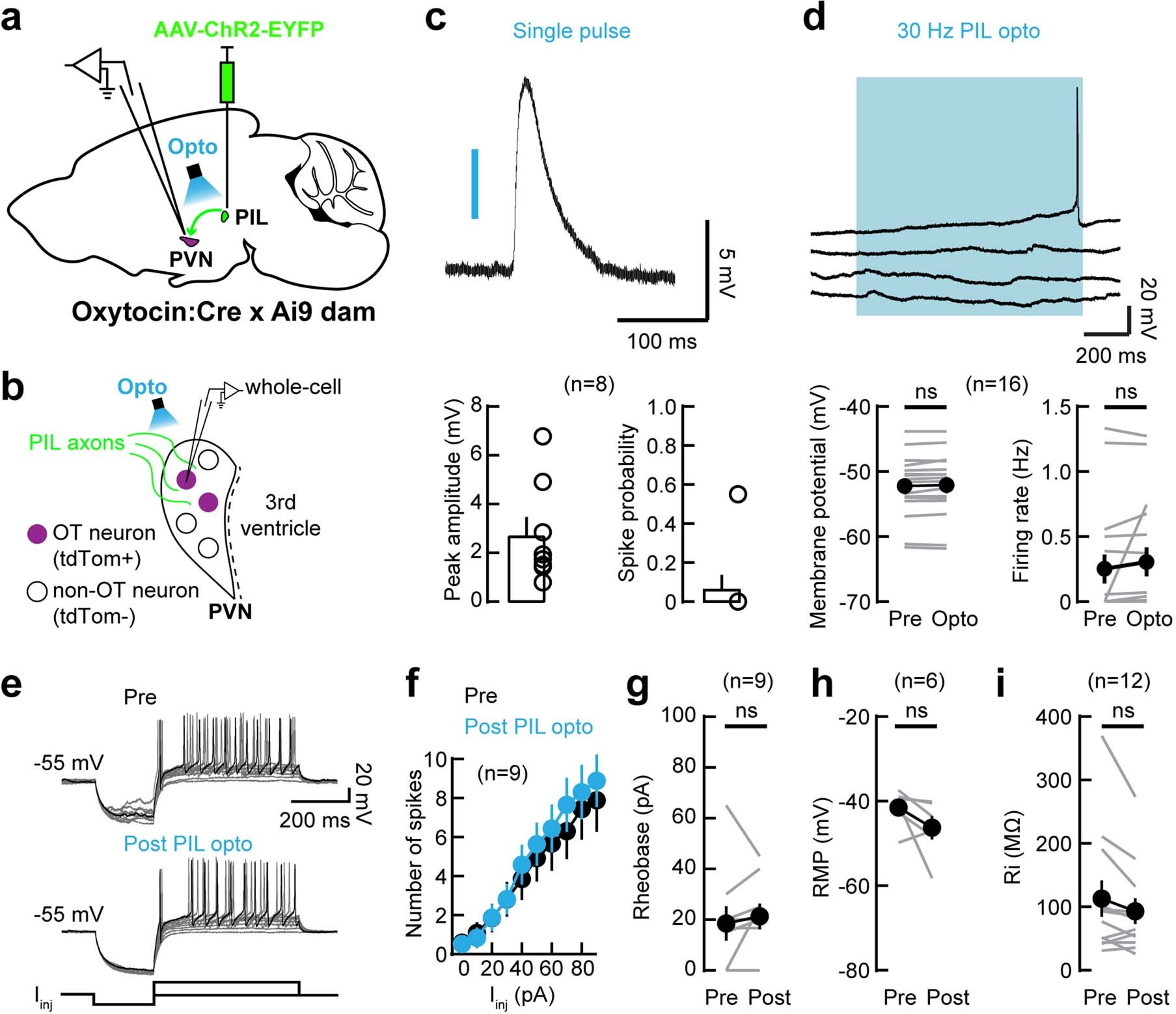 Extended Data Fig. 7