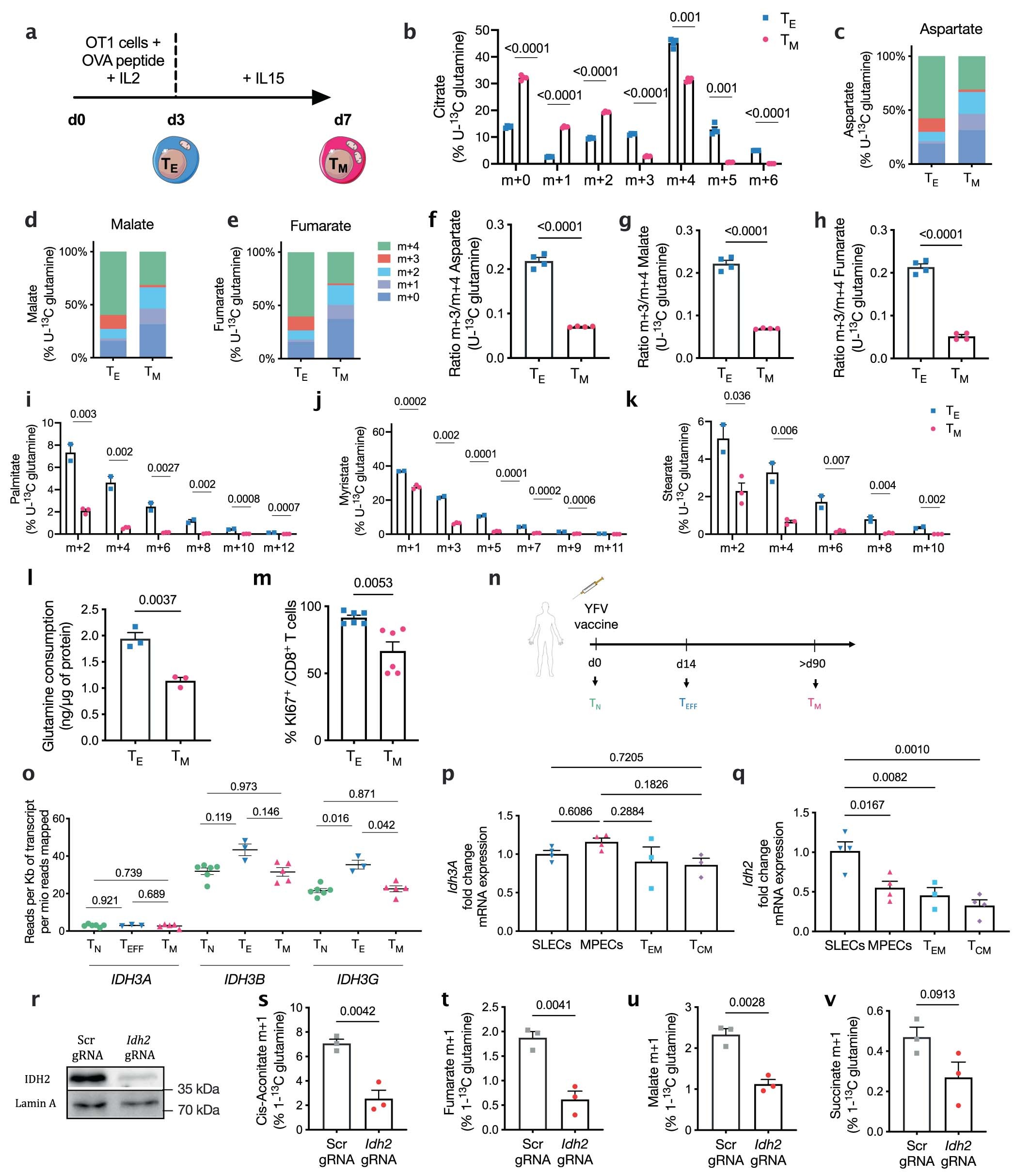 Extended Data Fig. 1