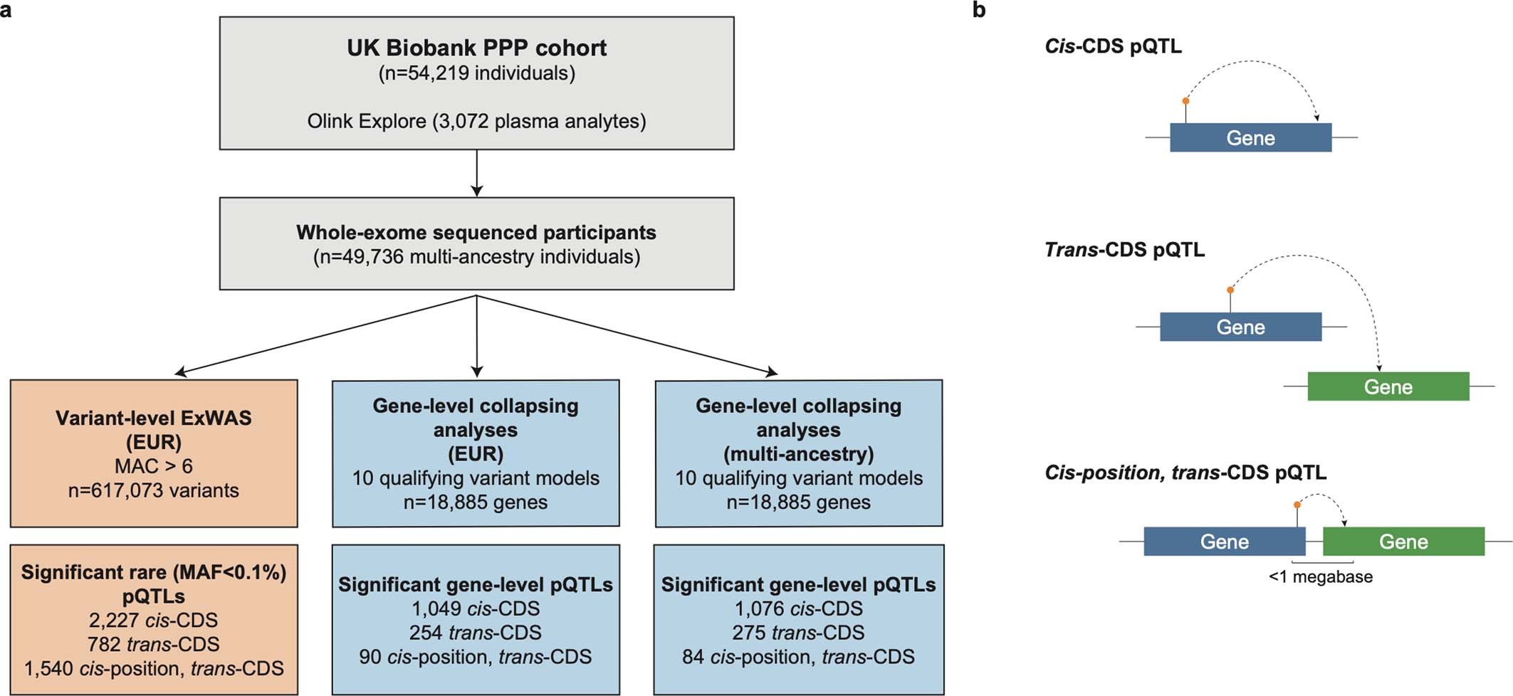 Extended Data Fig. 1: Study design.