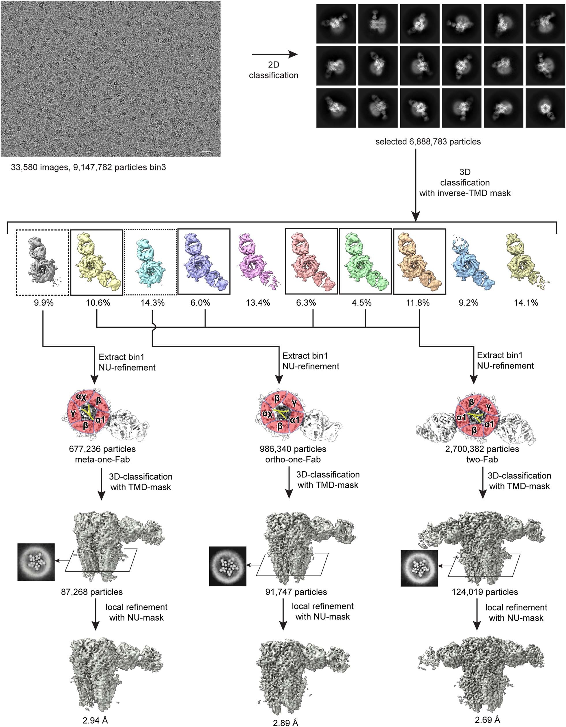 Extended Data Fig. 3